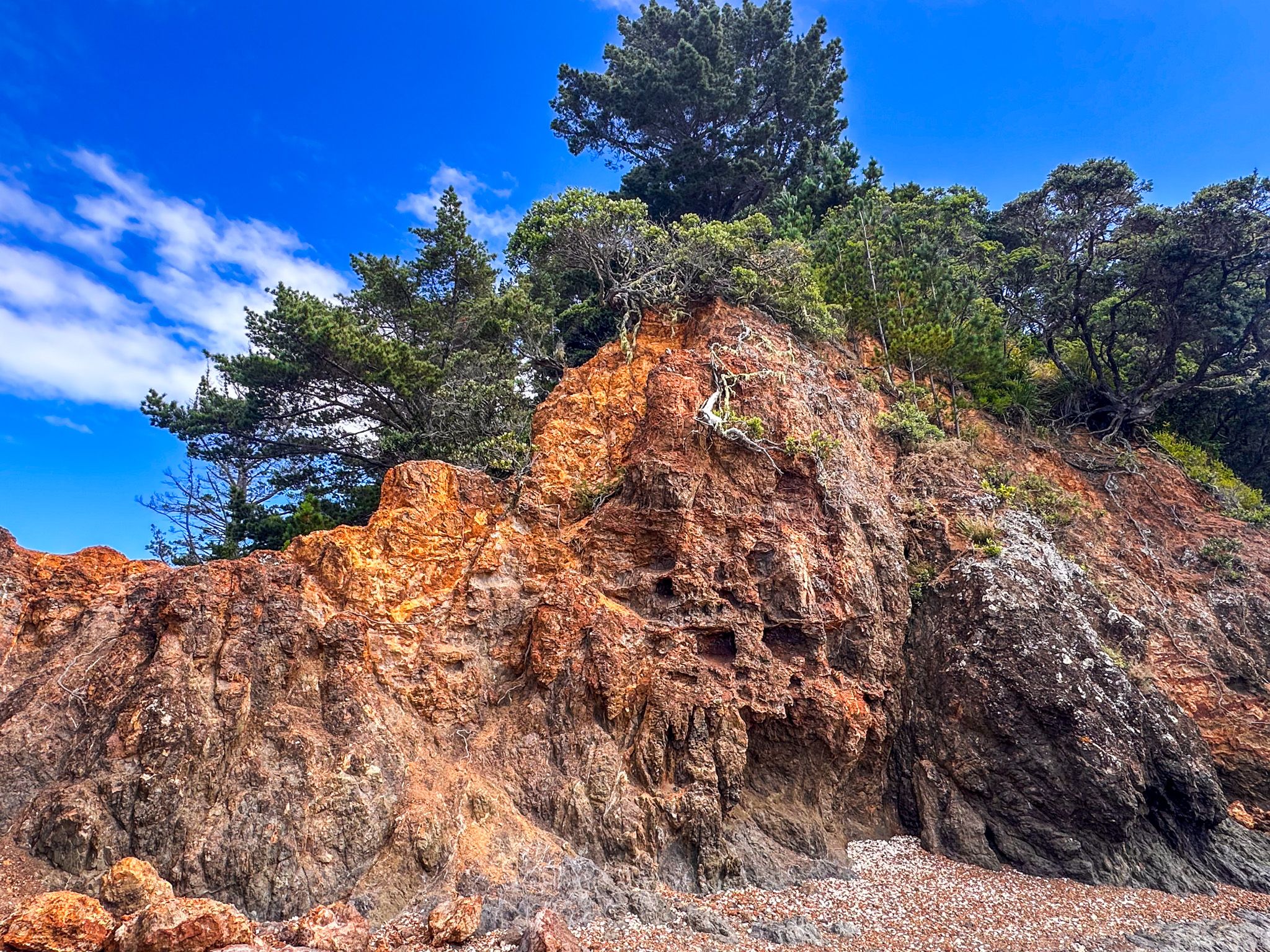 Image 9 of 10