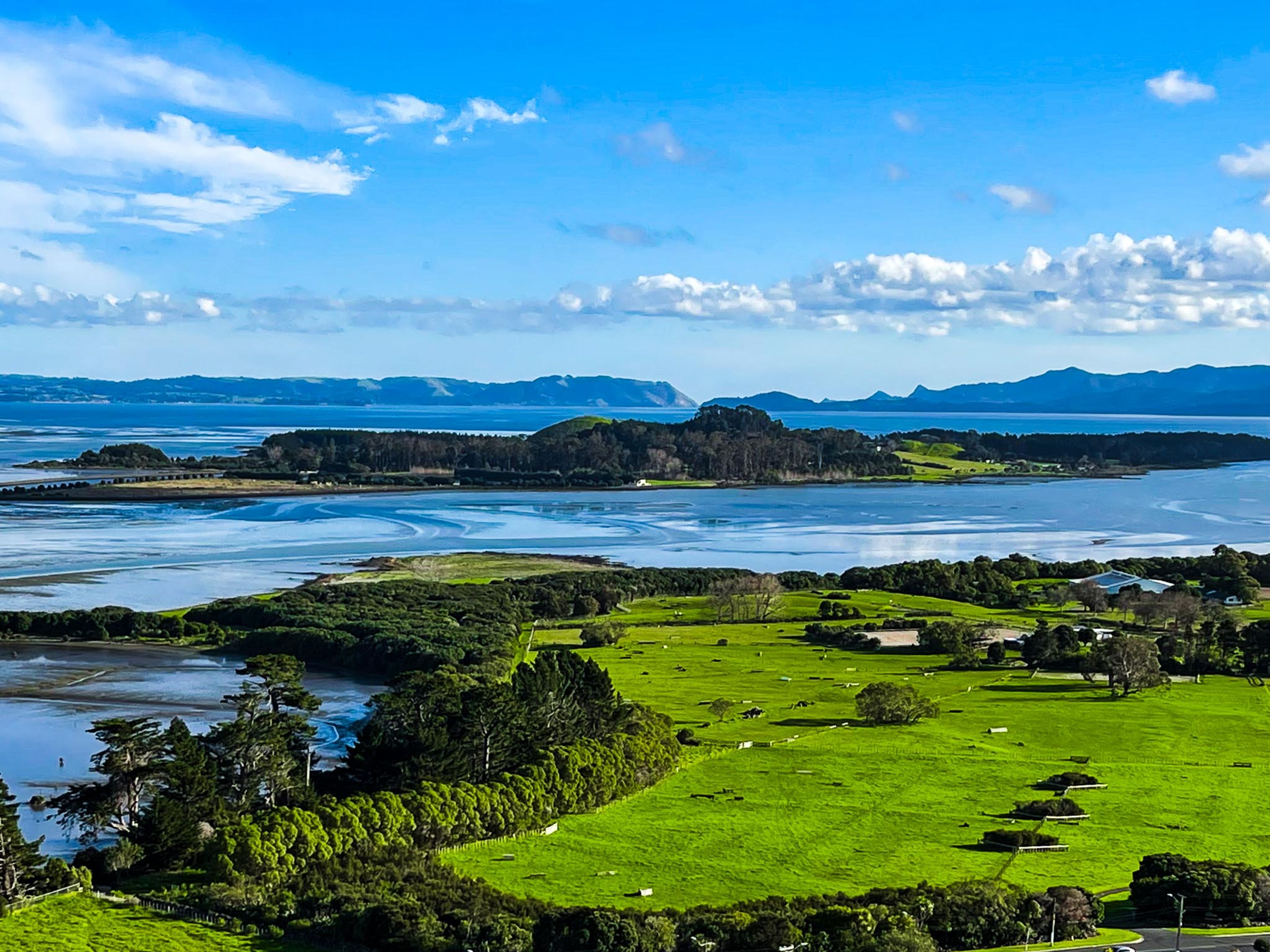 Puketutu Island