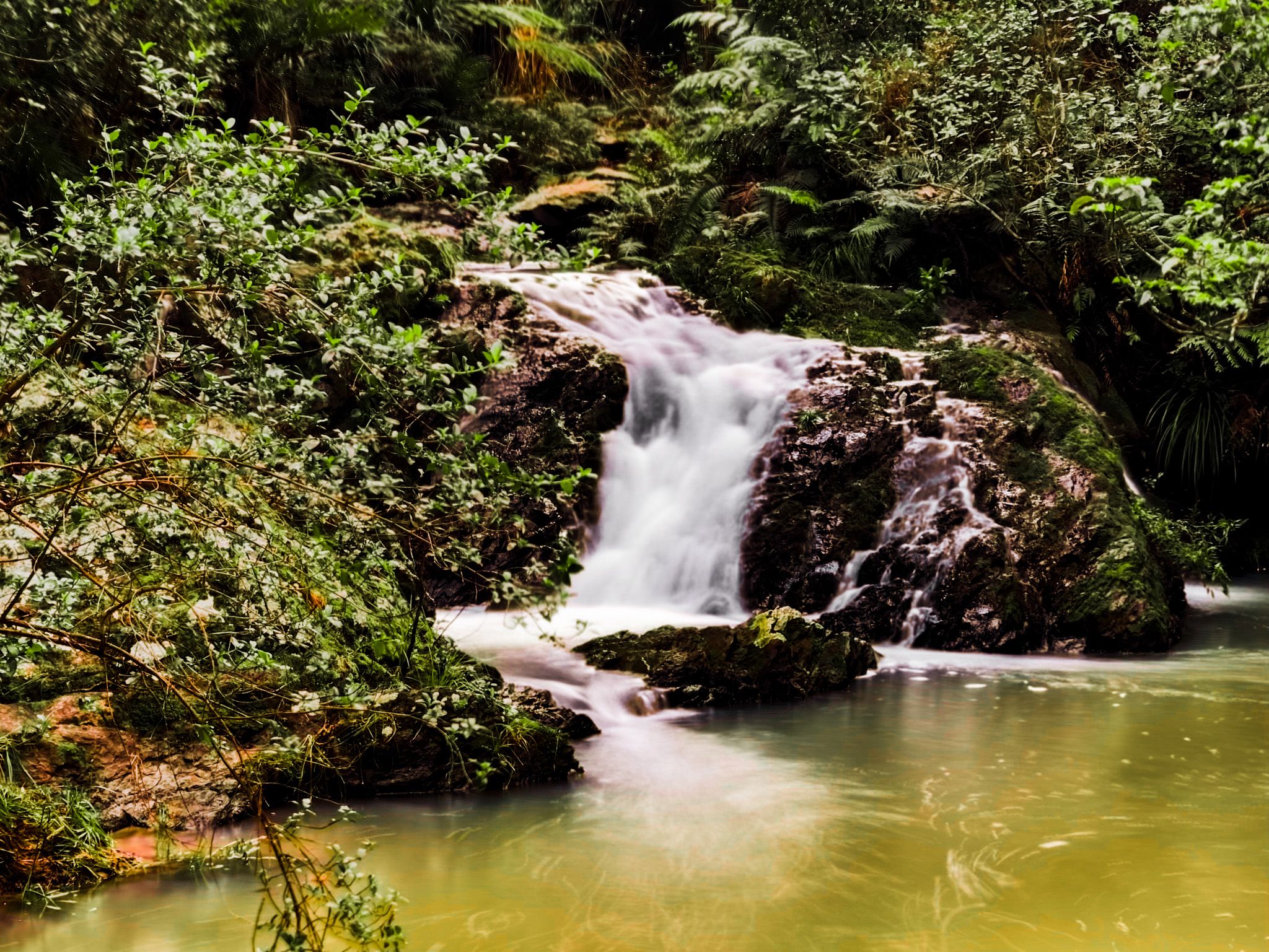 Kohuroa Stream Track
