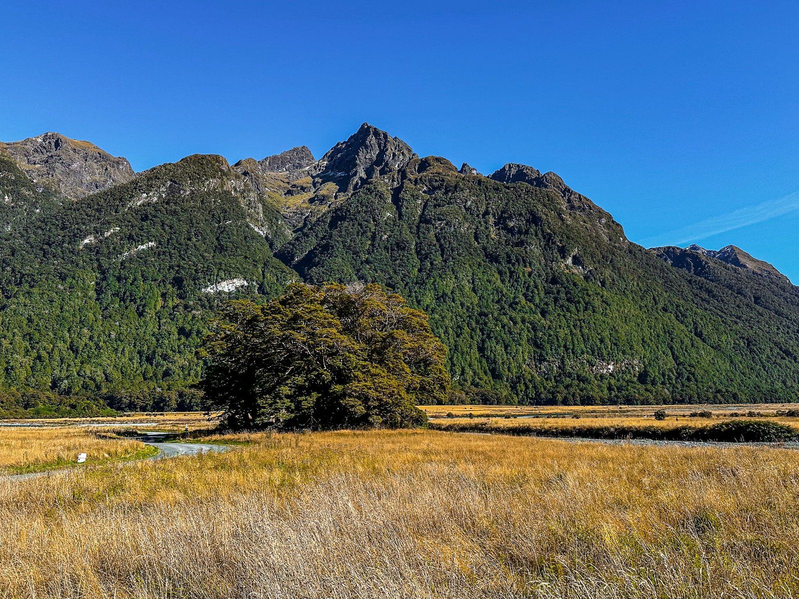 Image 6 of 10