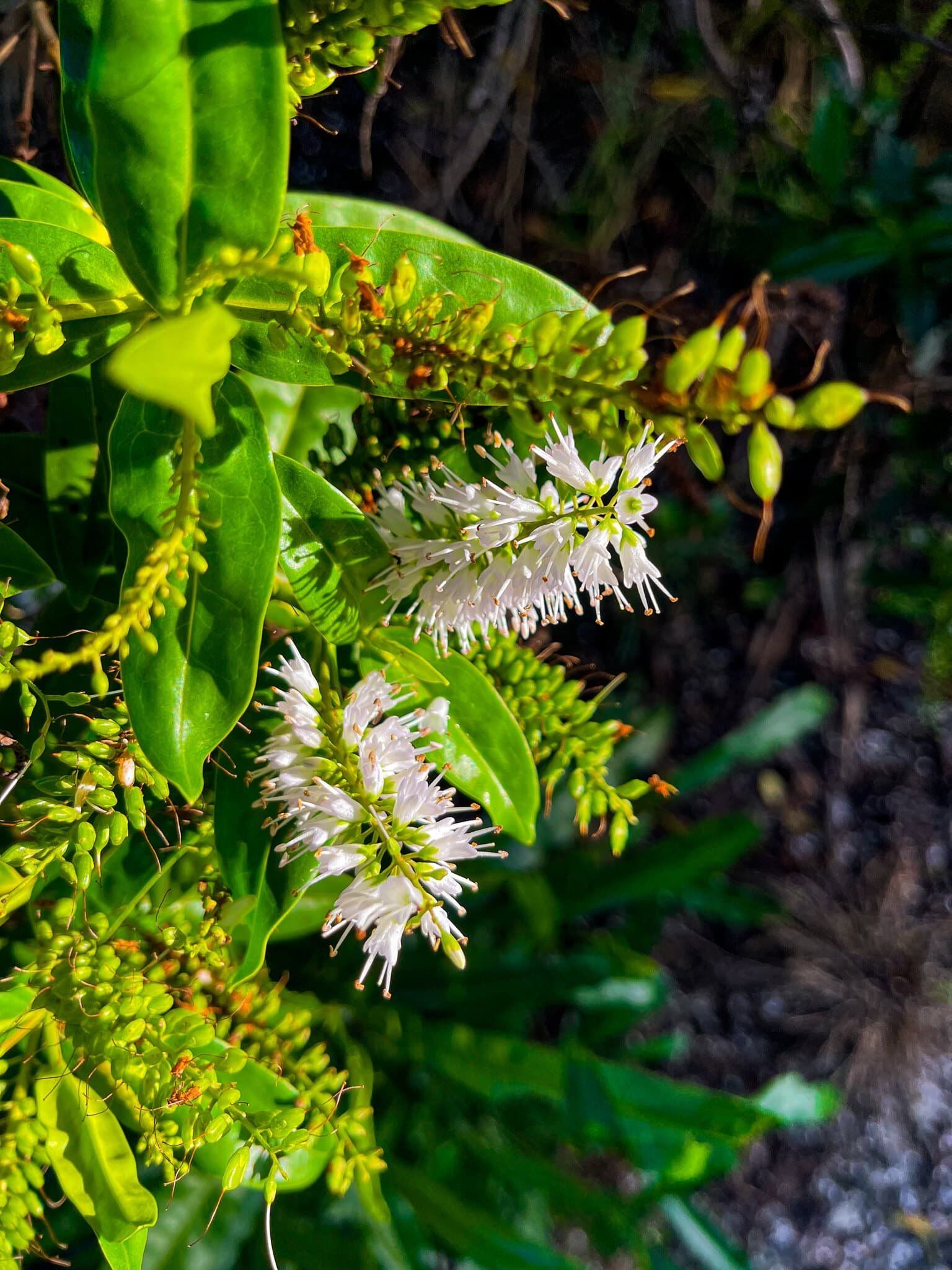 Image 6 of 7