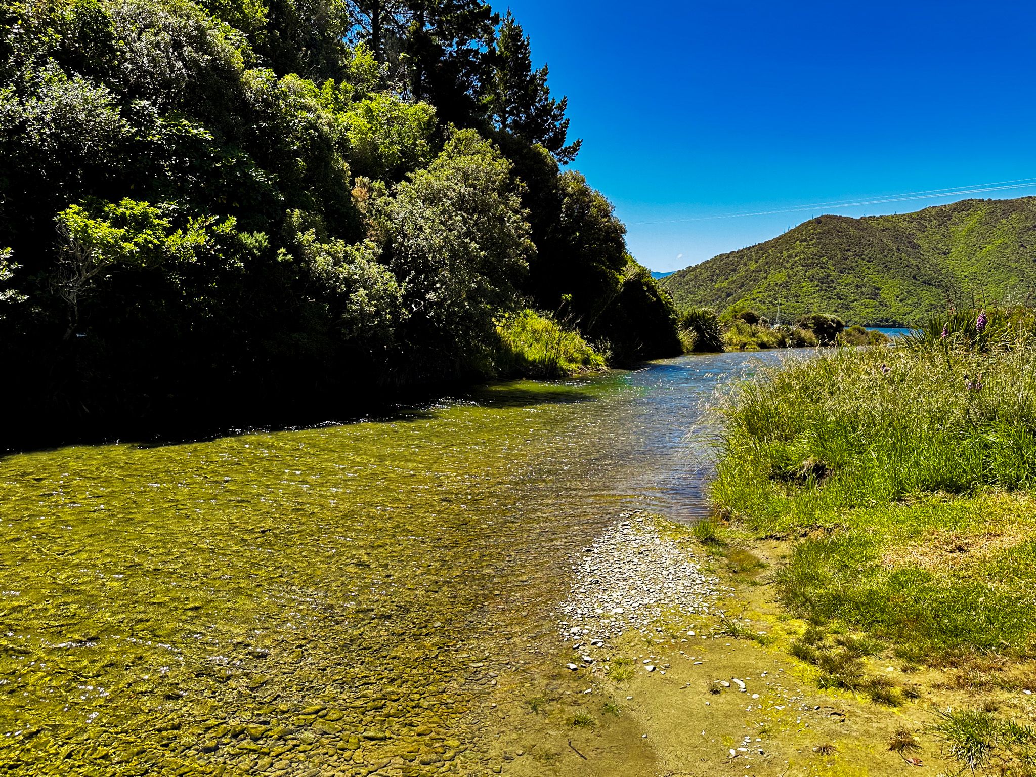 Image 10 of 10