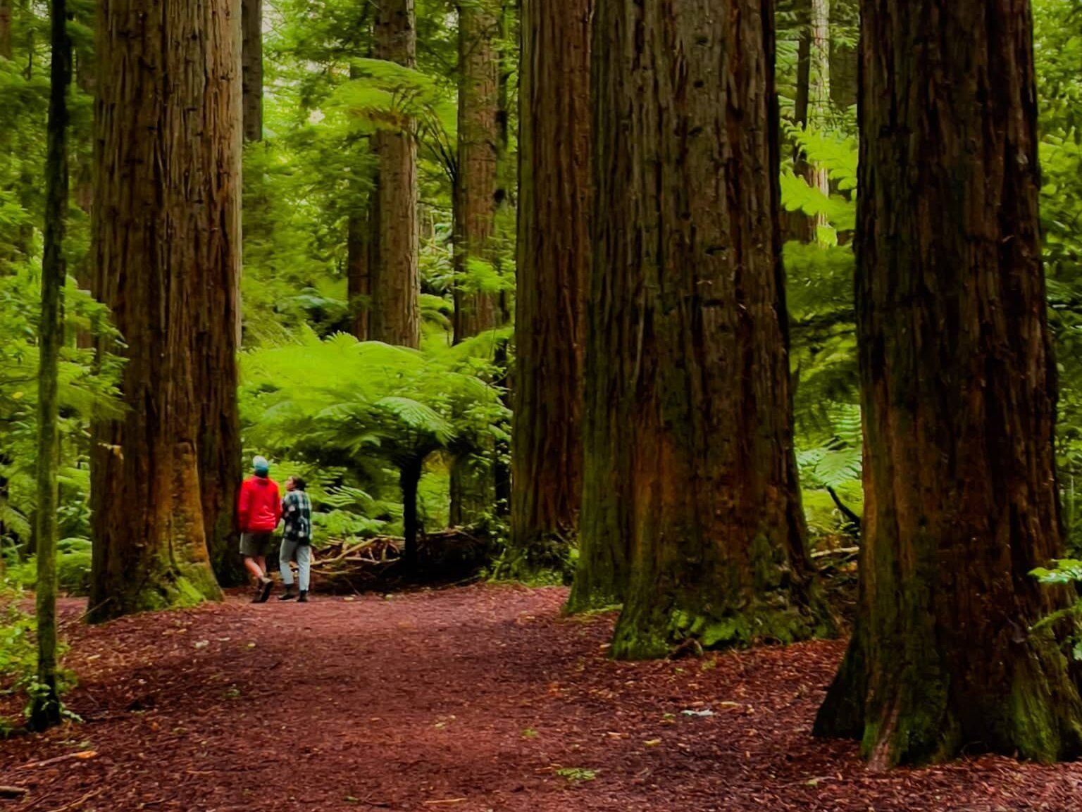 Travelling with Kids in Aotearoa New Zealand