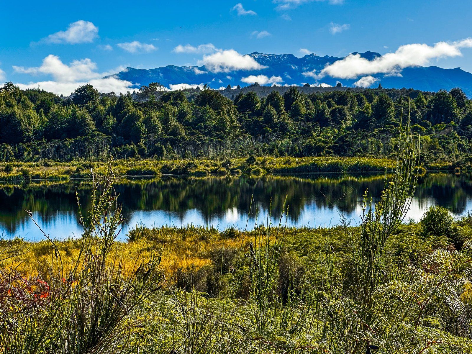 Lake Mistletoe