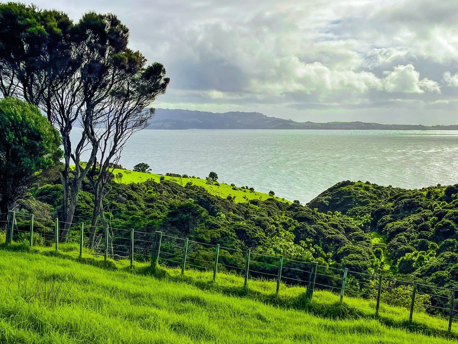 Image 11 of 11