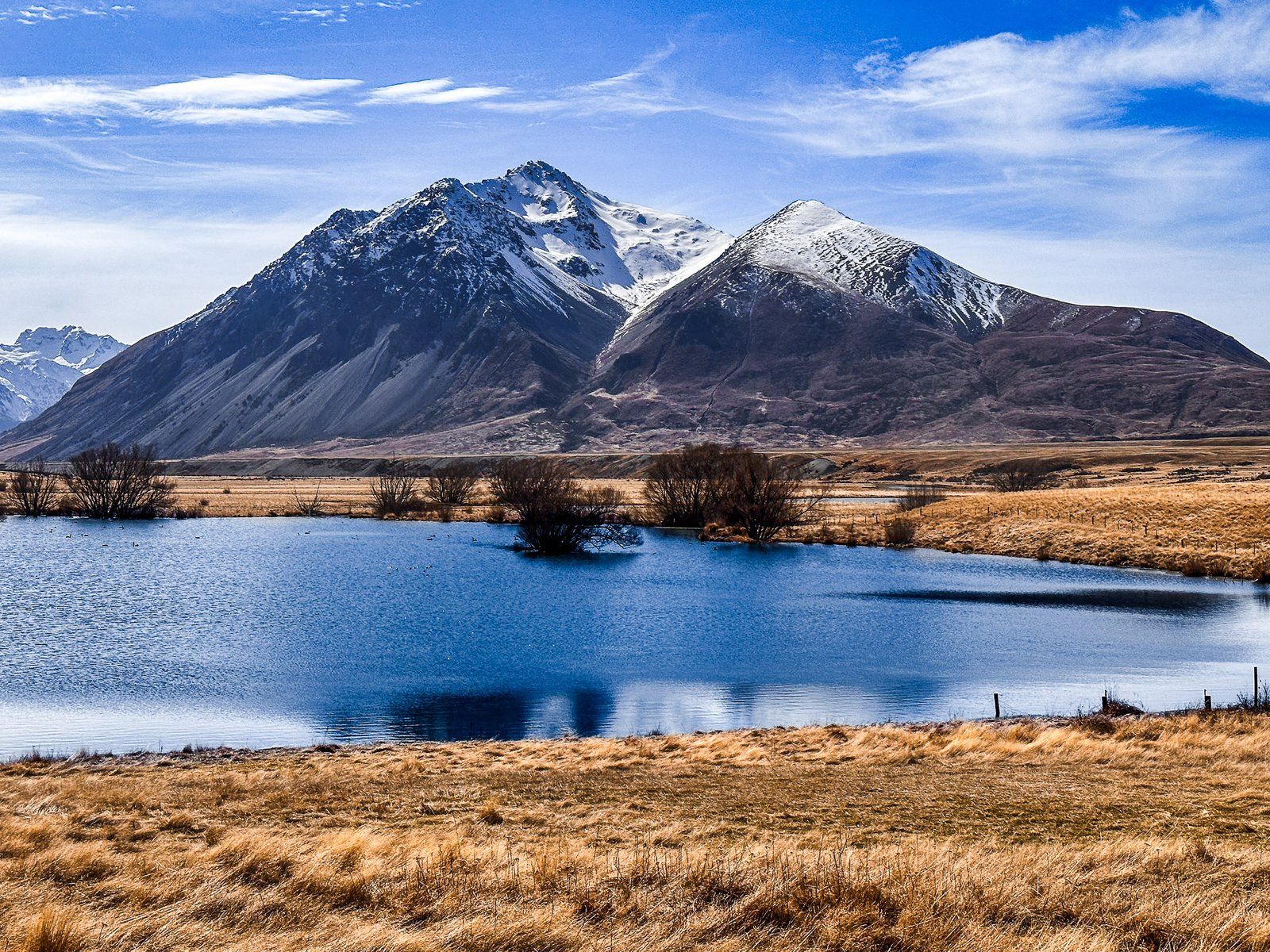 Ben Avon Wetland