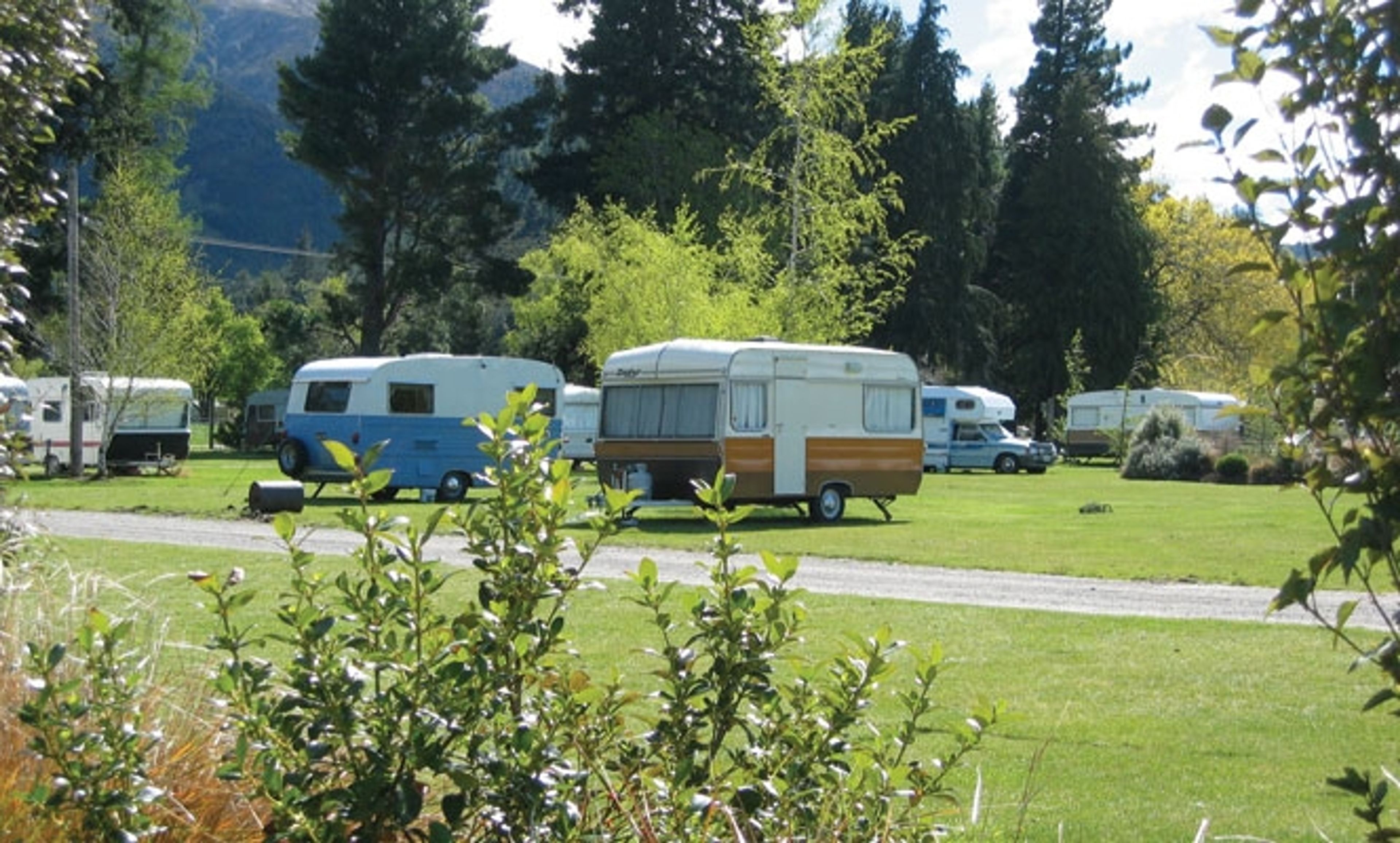 Pines Holiday Park