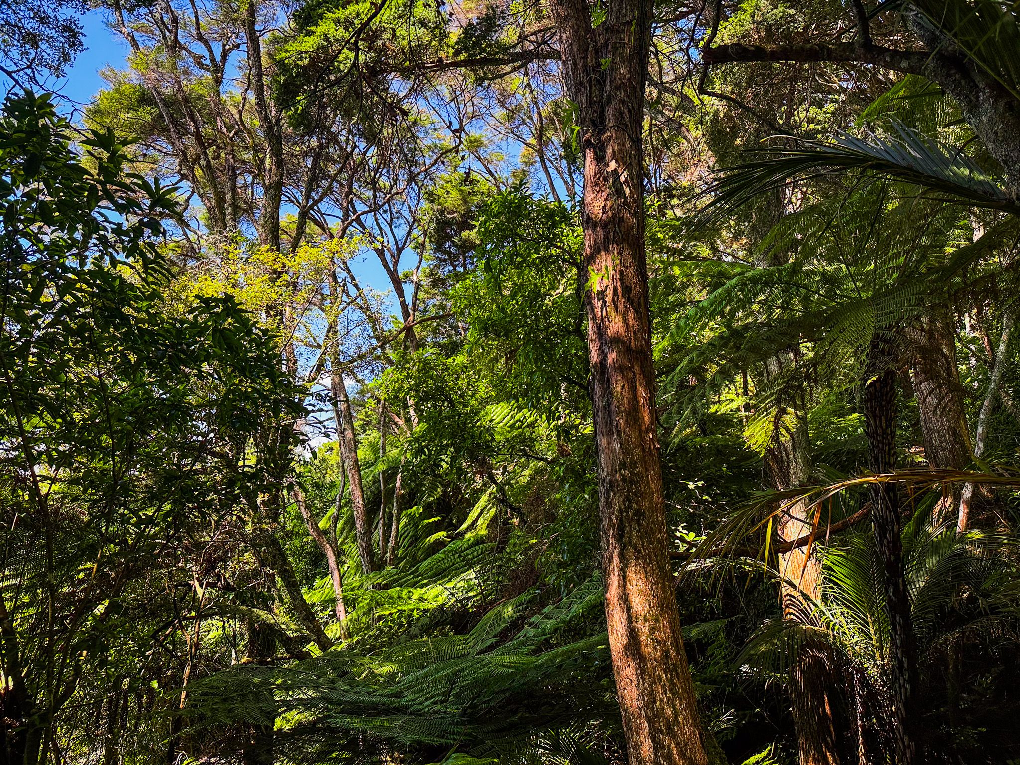 Image 9 of 10