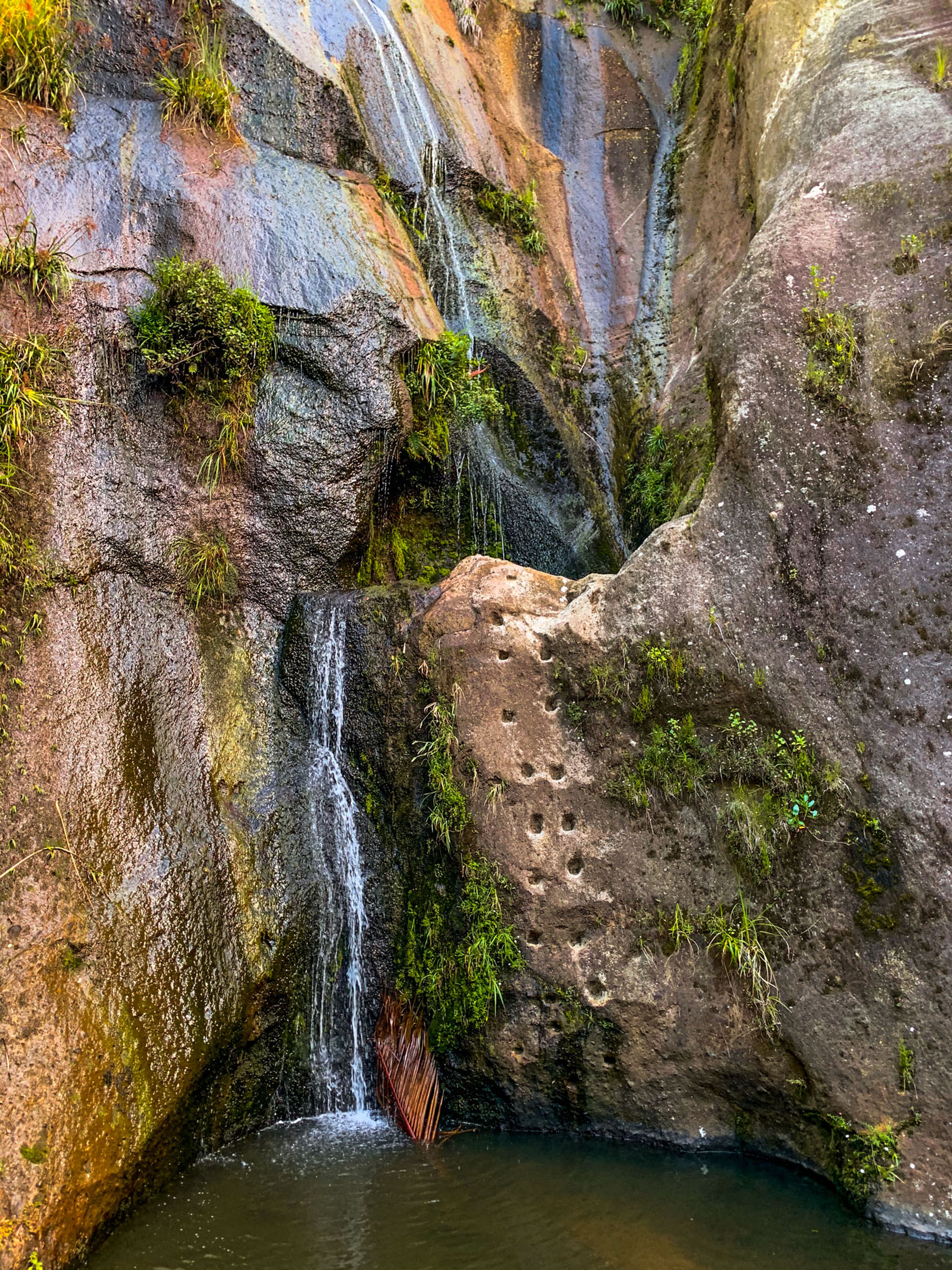 Image 7 of 10