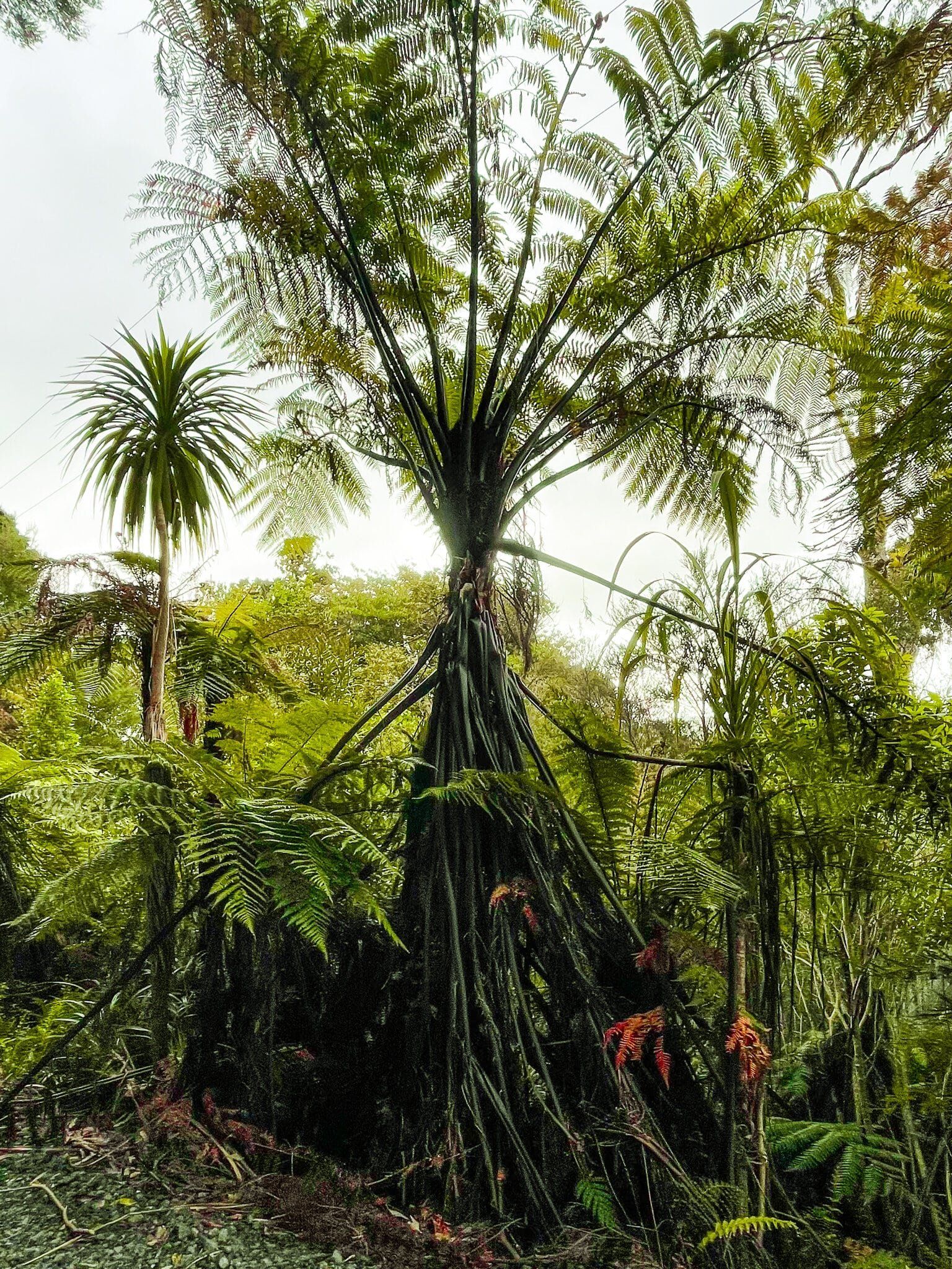 Image 11 of 12