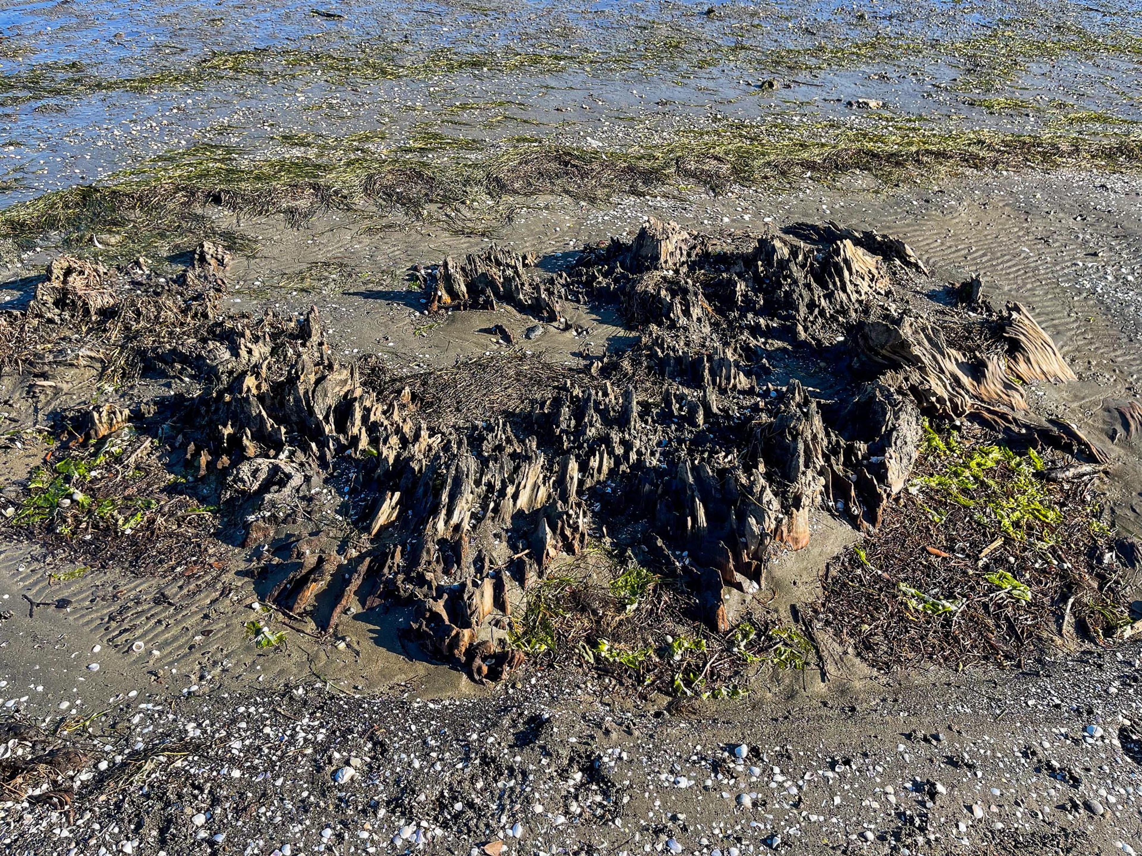 Image 6 of 10