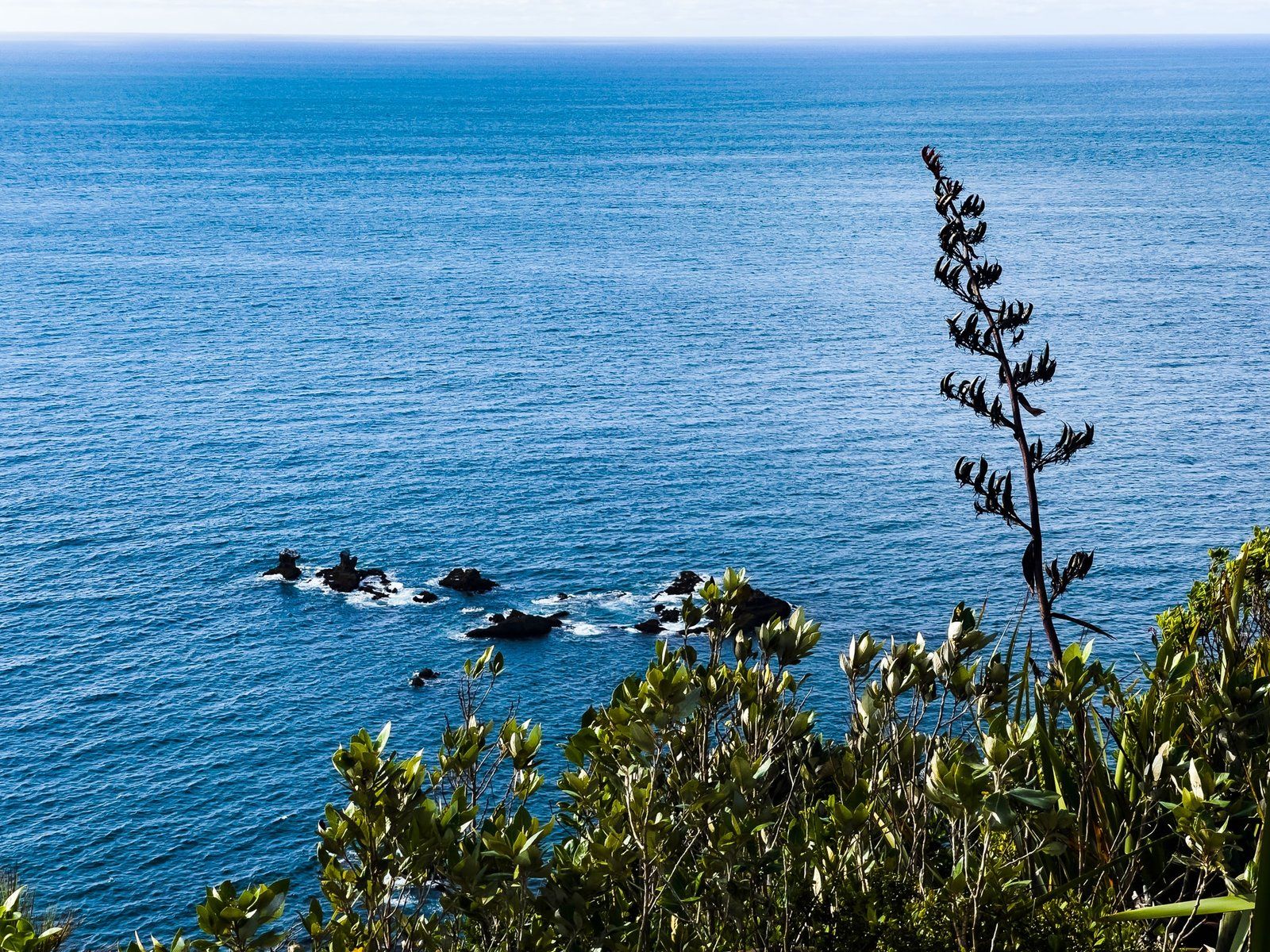 Image 9 of 9