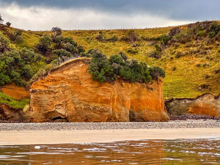 Bluecliffs Beach | Southwest Coast - New Zealand Trip Ideas