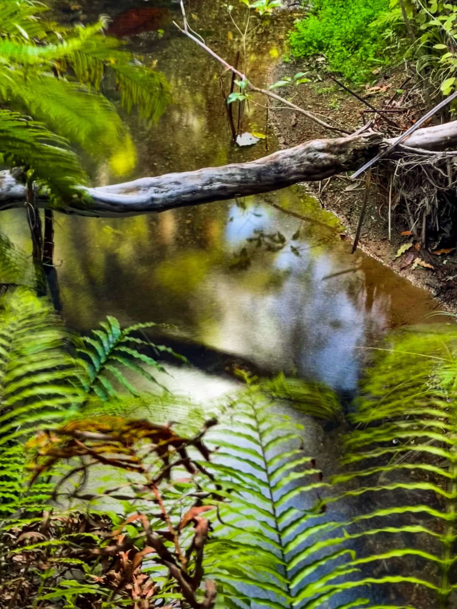 Image 8 of 8