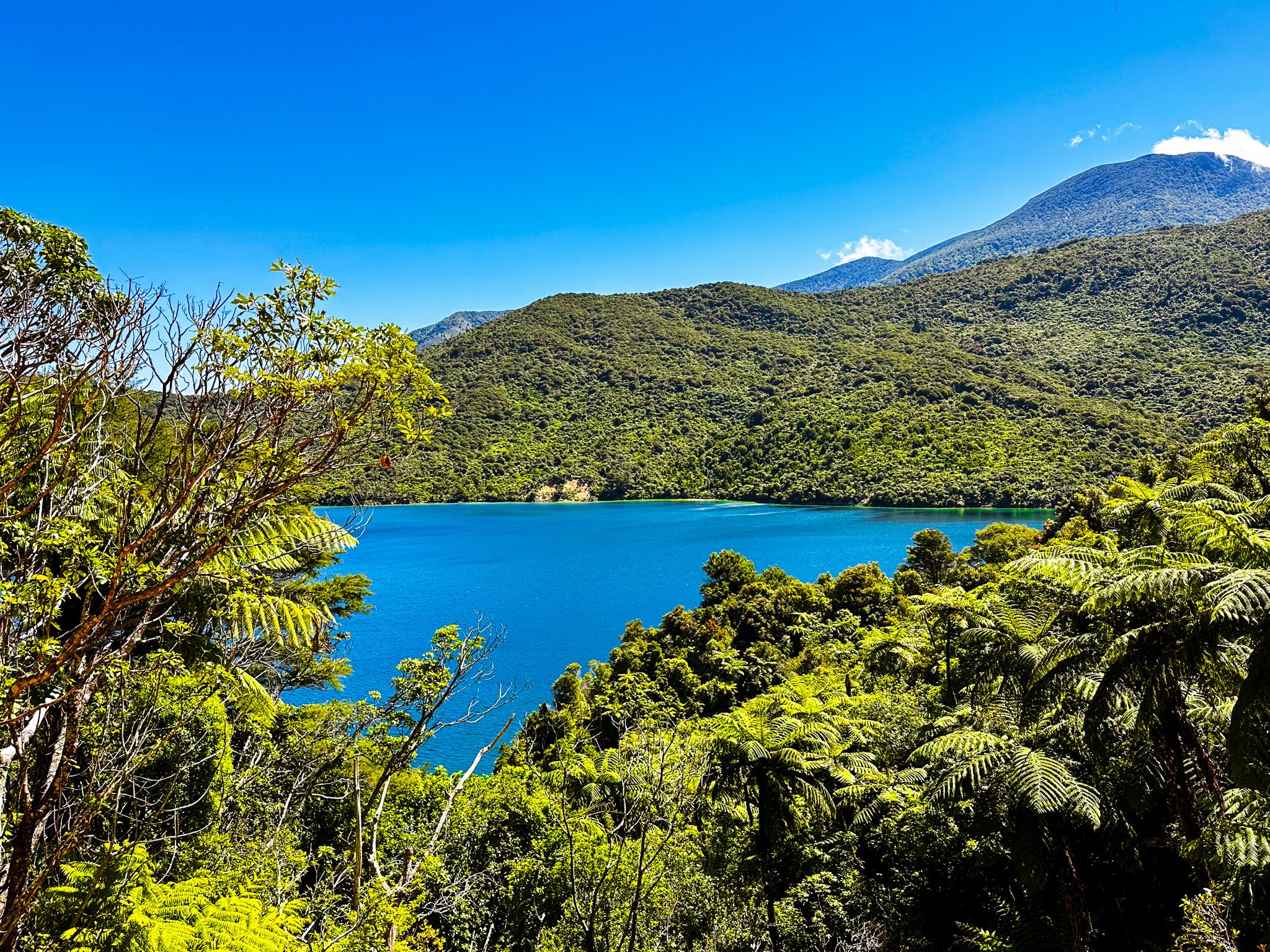 Endeavour Inlet / Panaruawhiti
