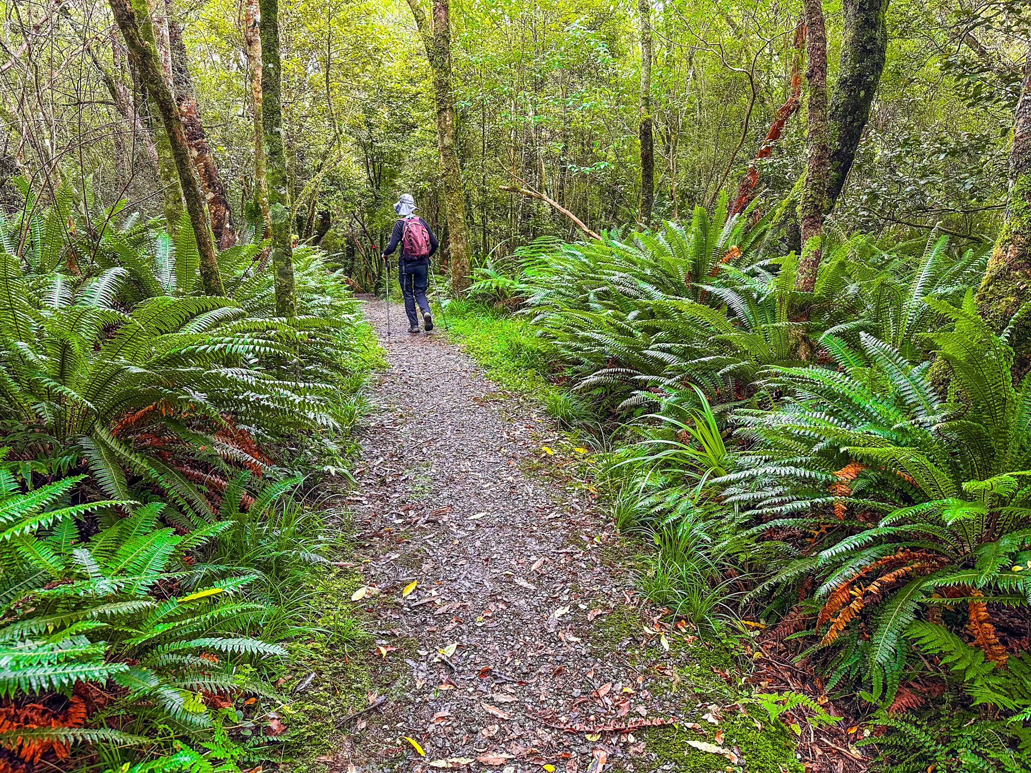 Image 8 of 10