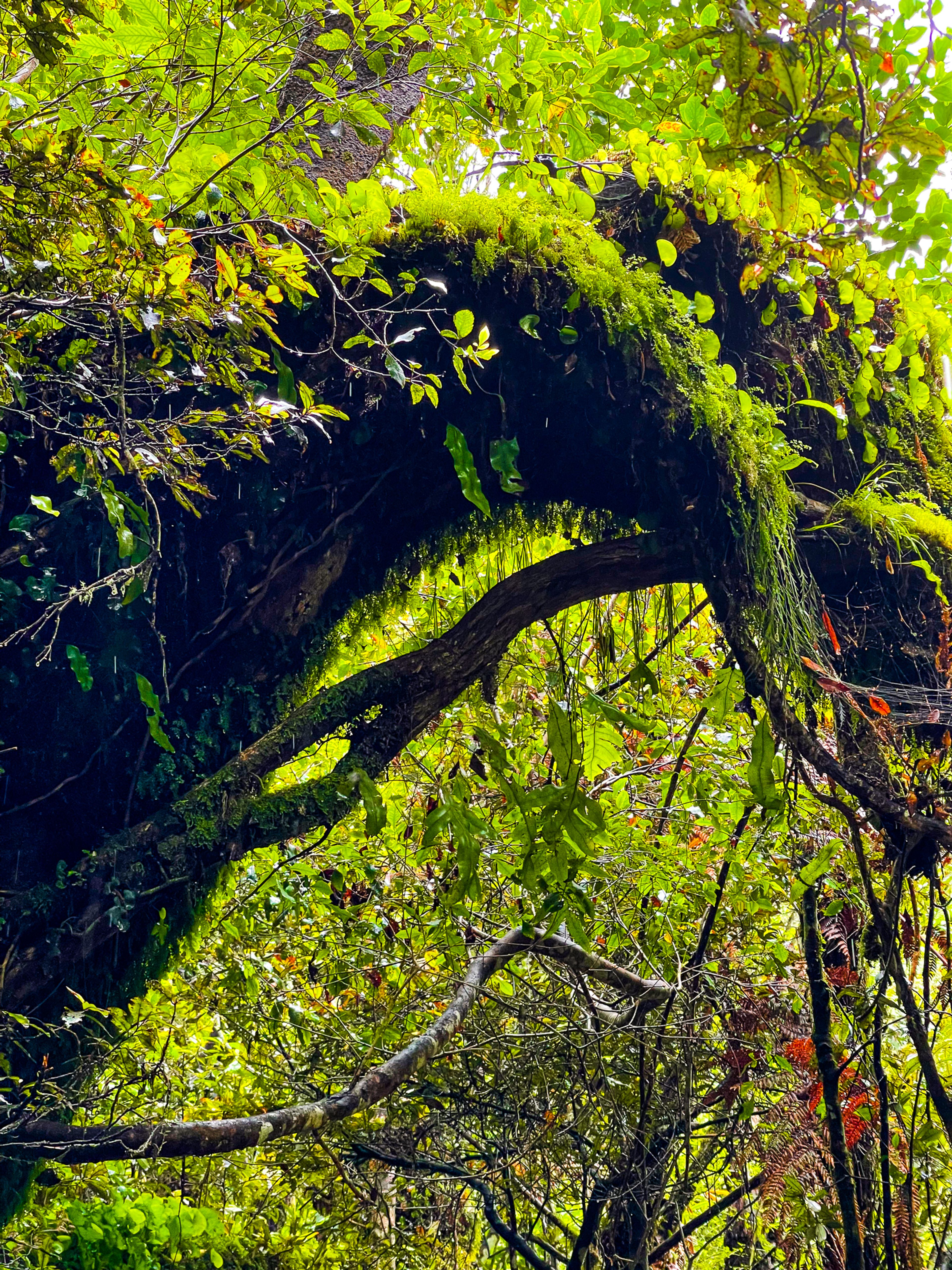 Image 9 of 10