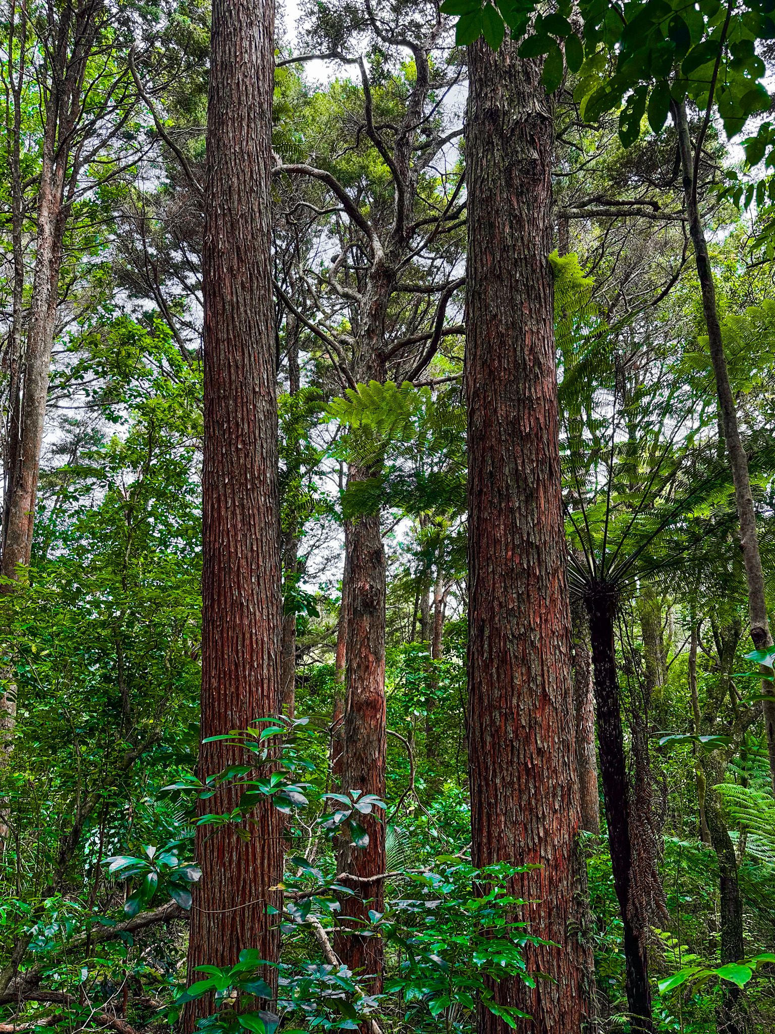 Image 8 of 10