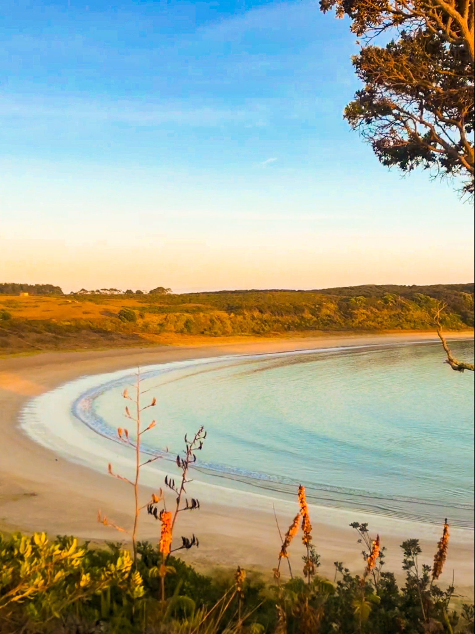 Maitai Bay | Far North - New Zealand Trip Ideas