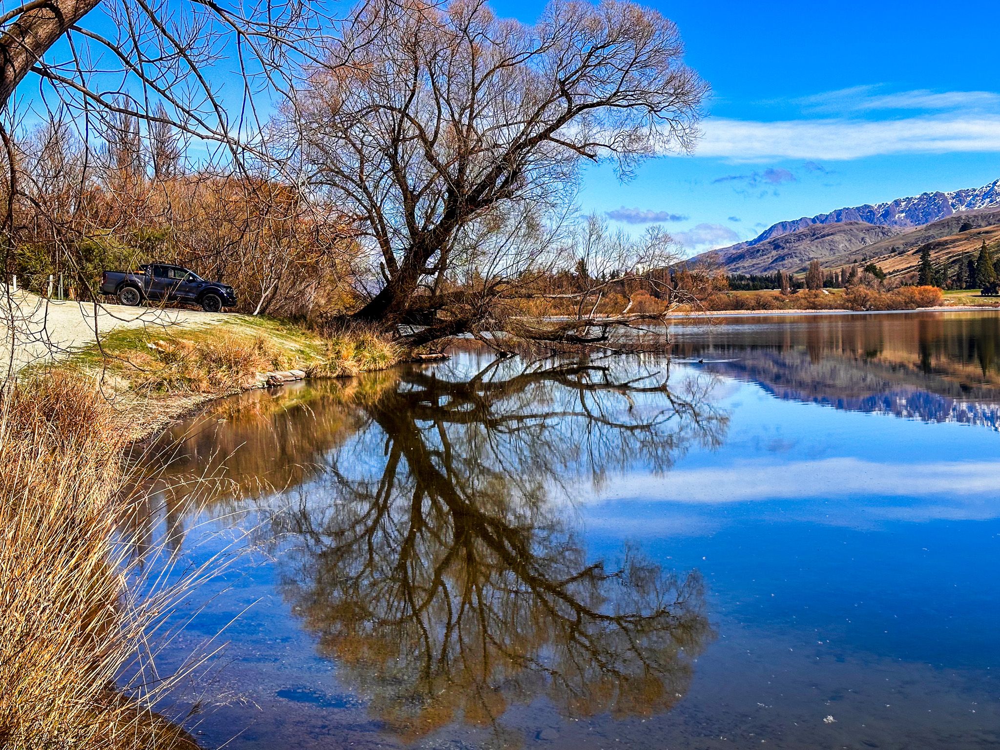 Lake Hayes Walkway