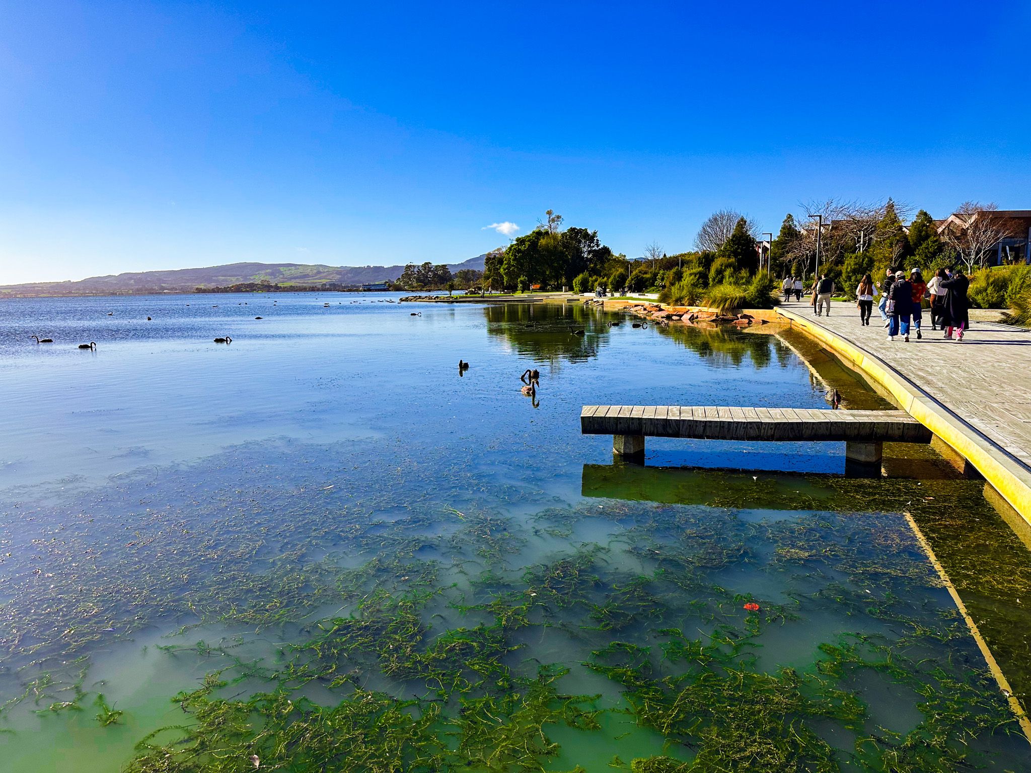 Rotorua