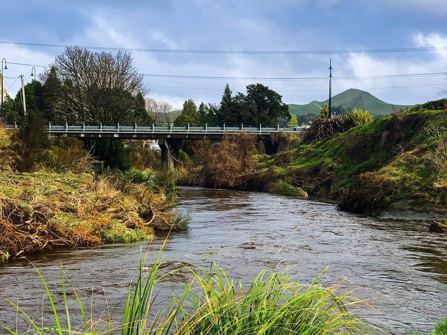 Mākōtuku Track