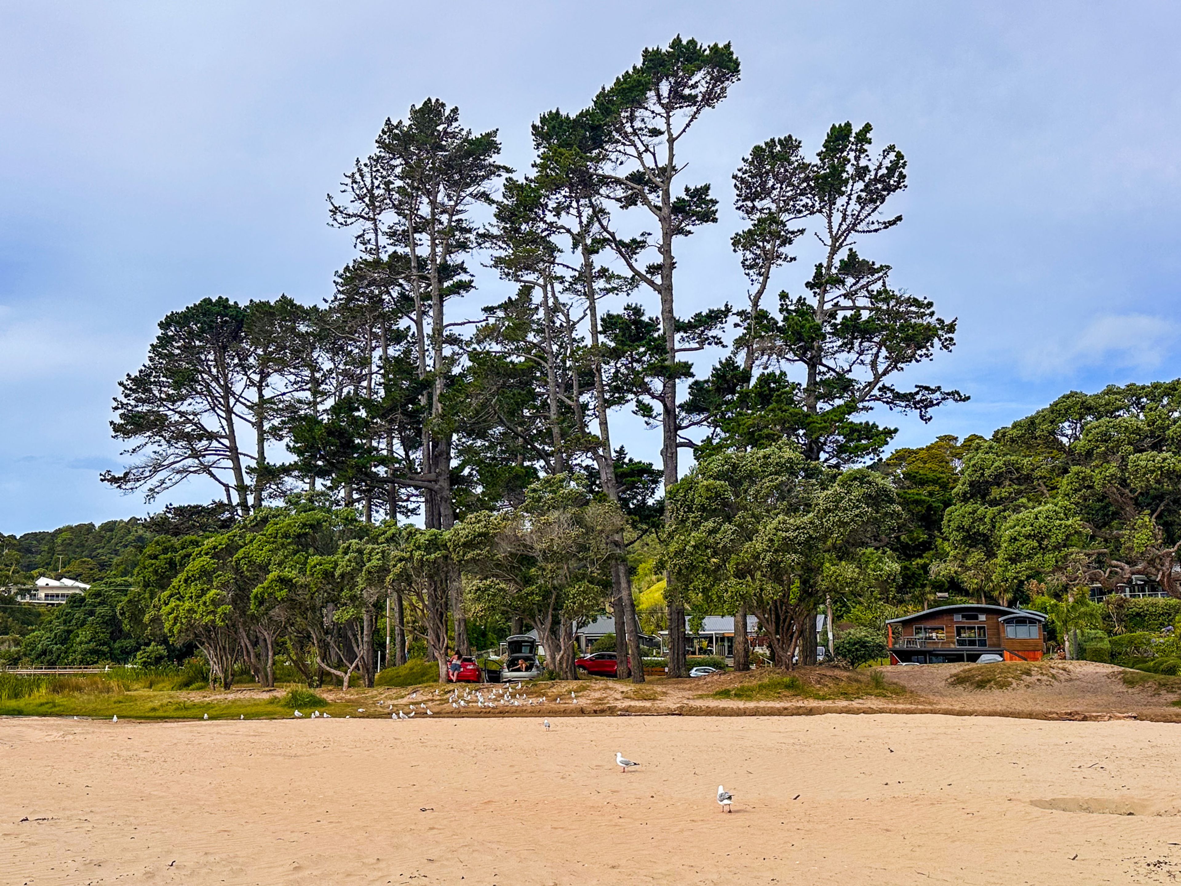 Image 7 of 10