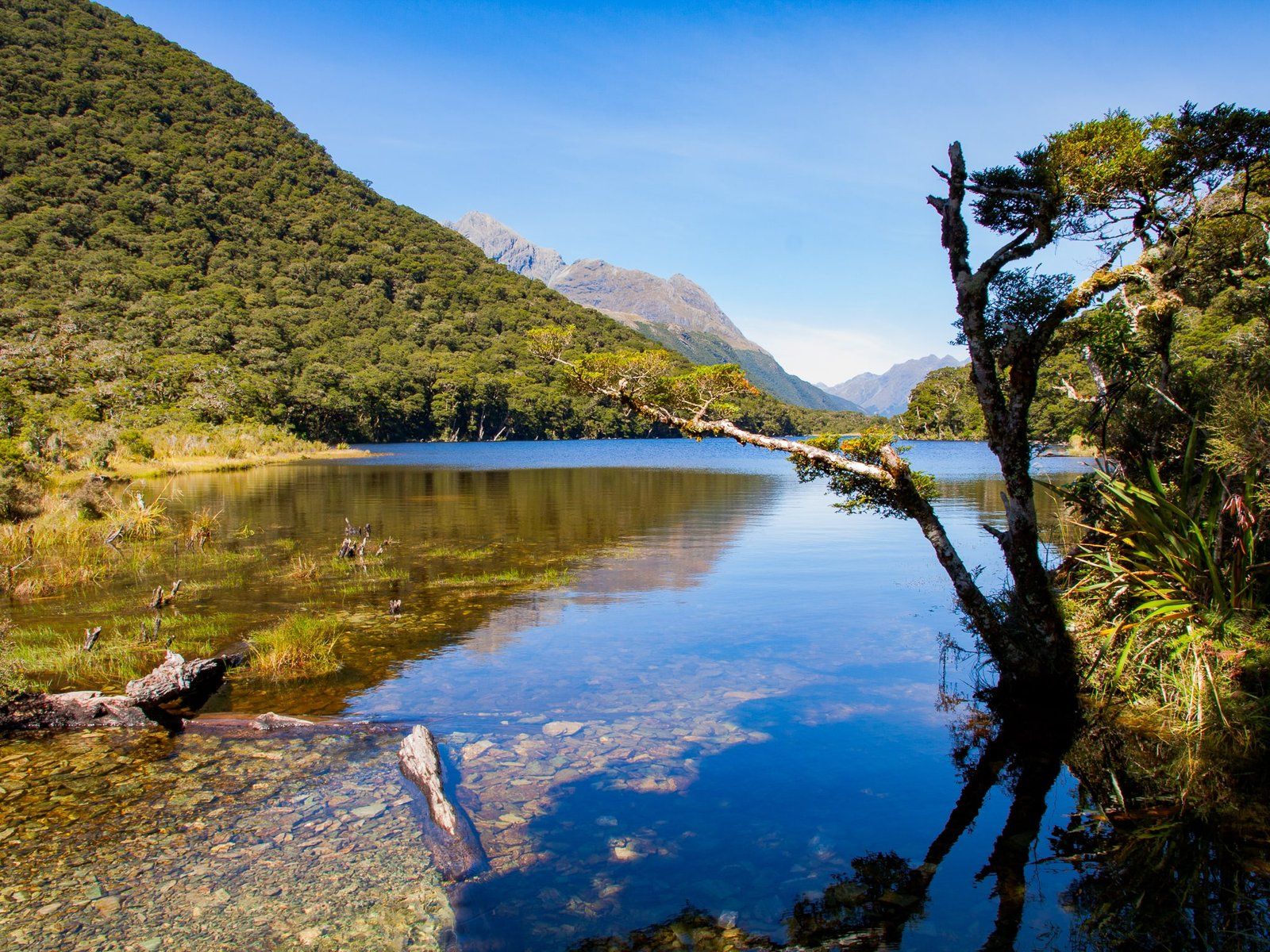 Day Walks of the Beautiful Routeburn Track