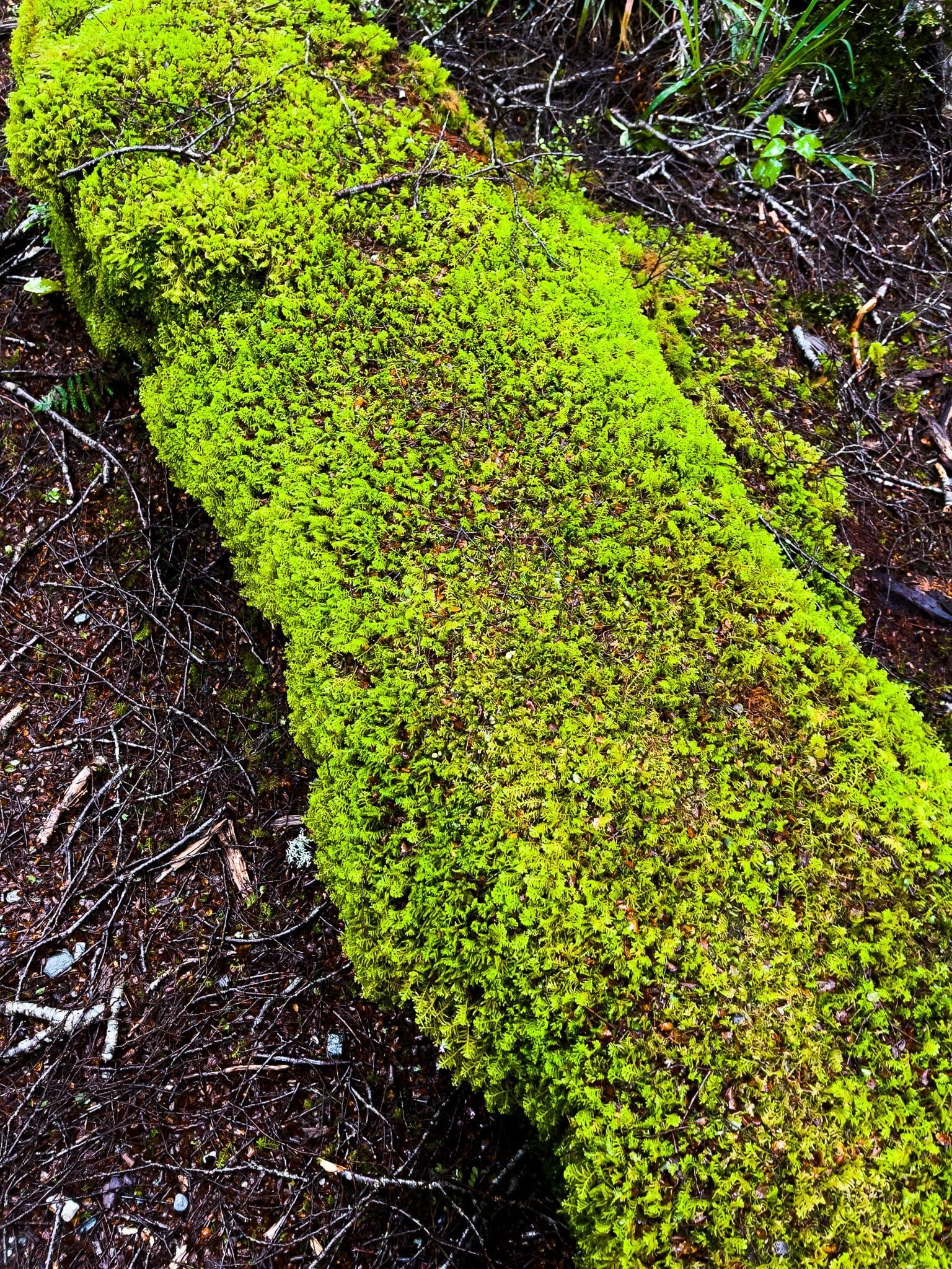 Image 7 of 9