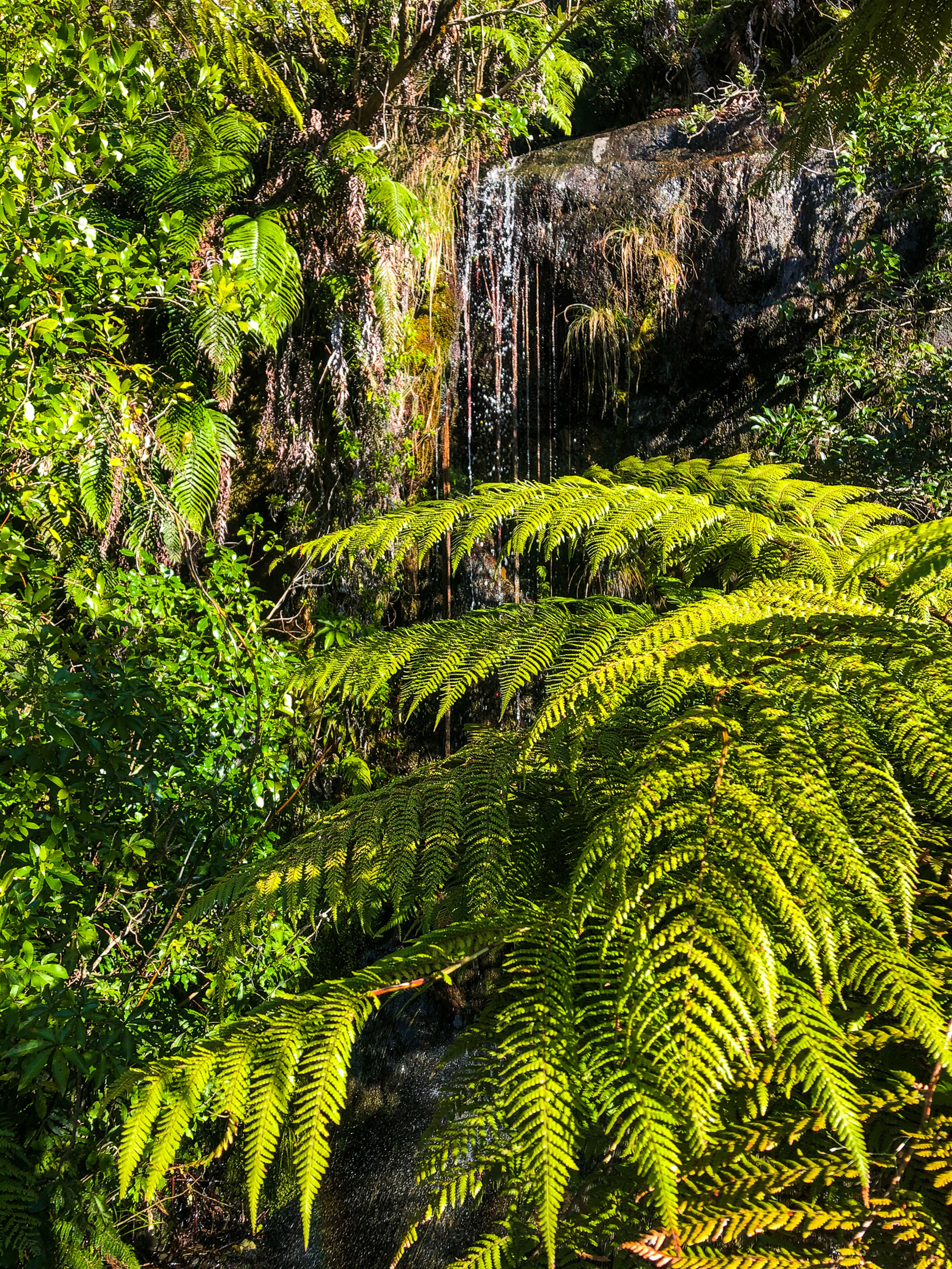 Image 6 of 10