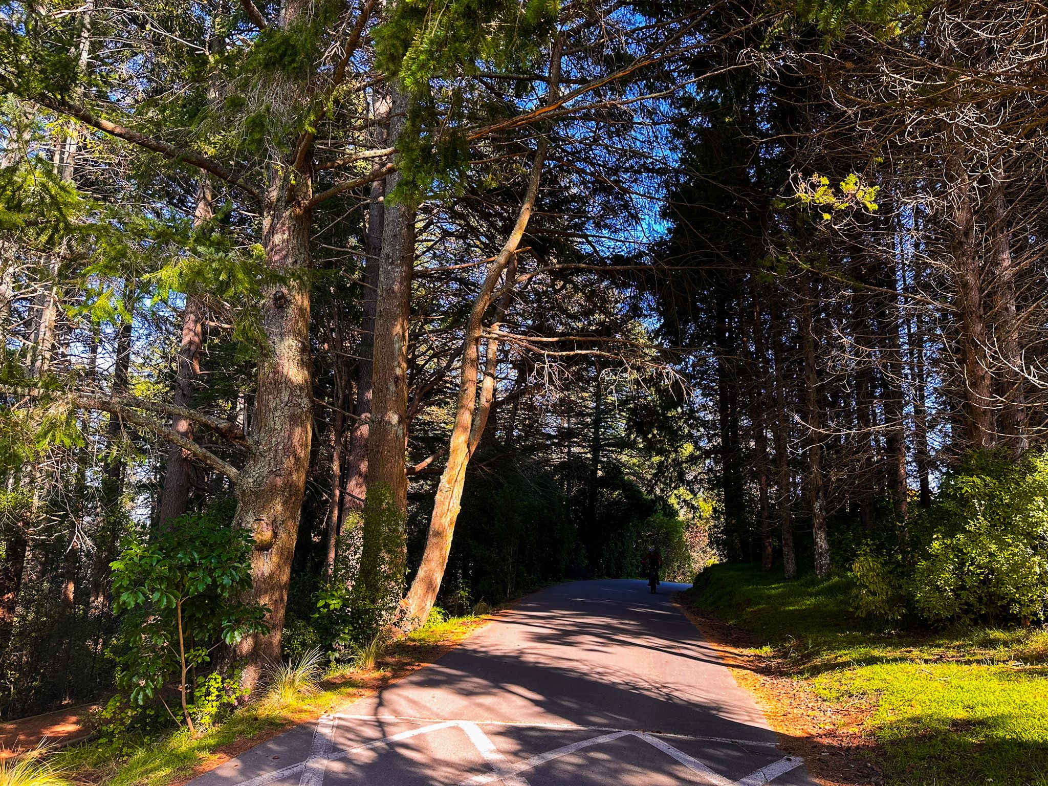 Image 8 of 10