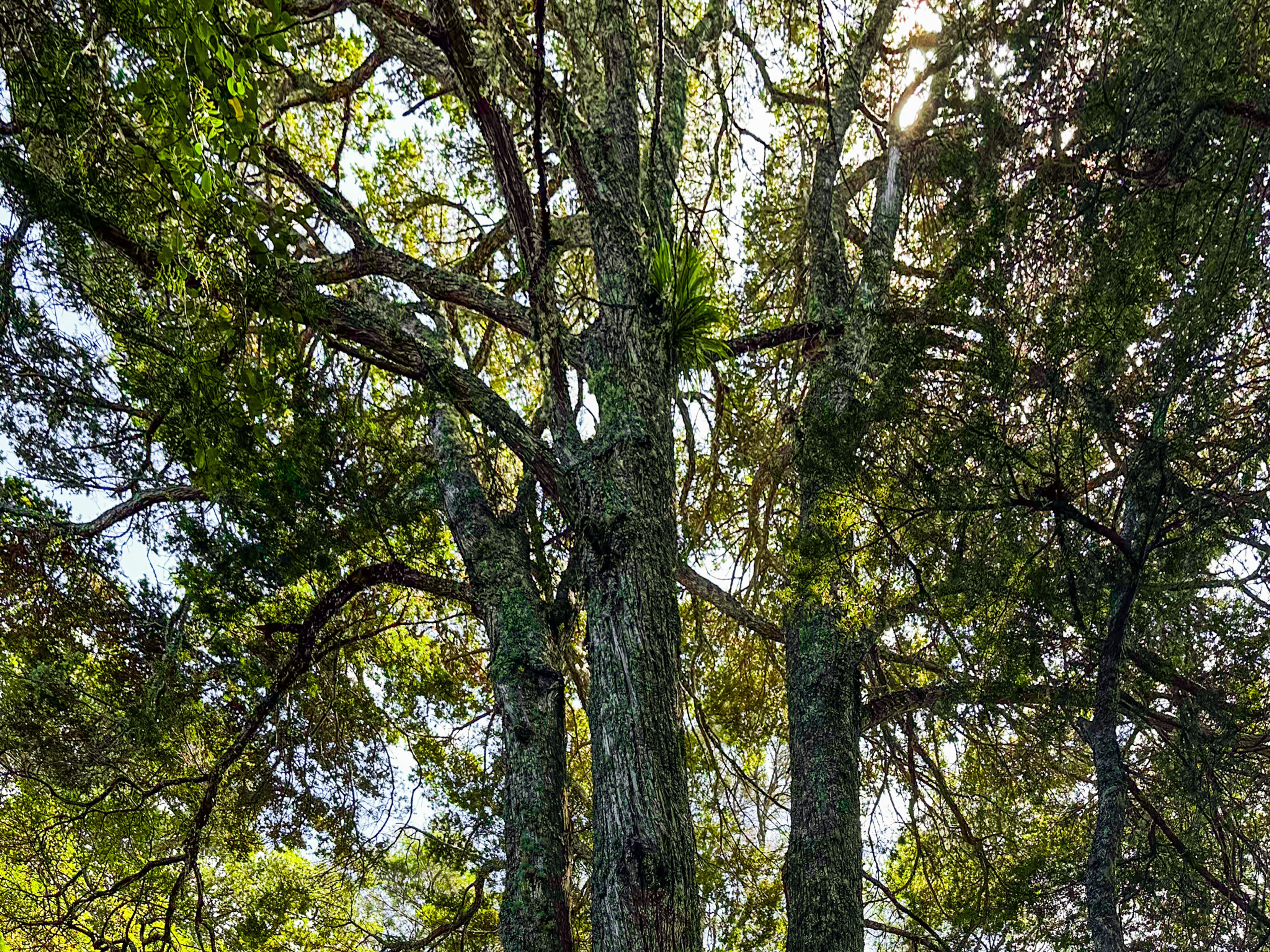 Image 1 of 10