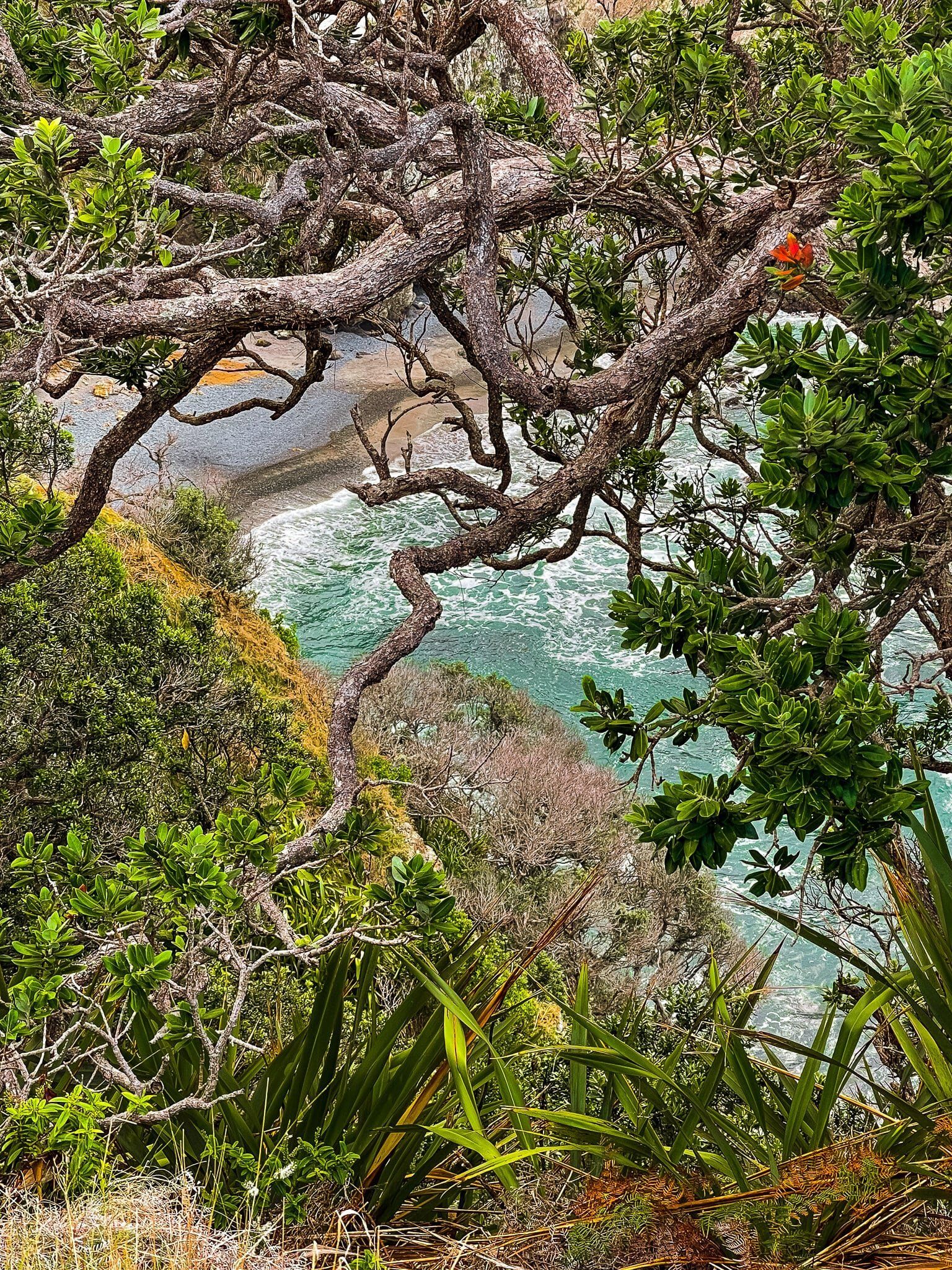 Image 4 of 12