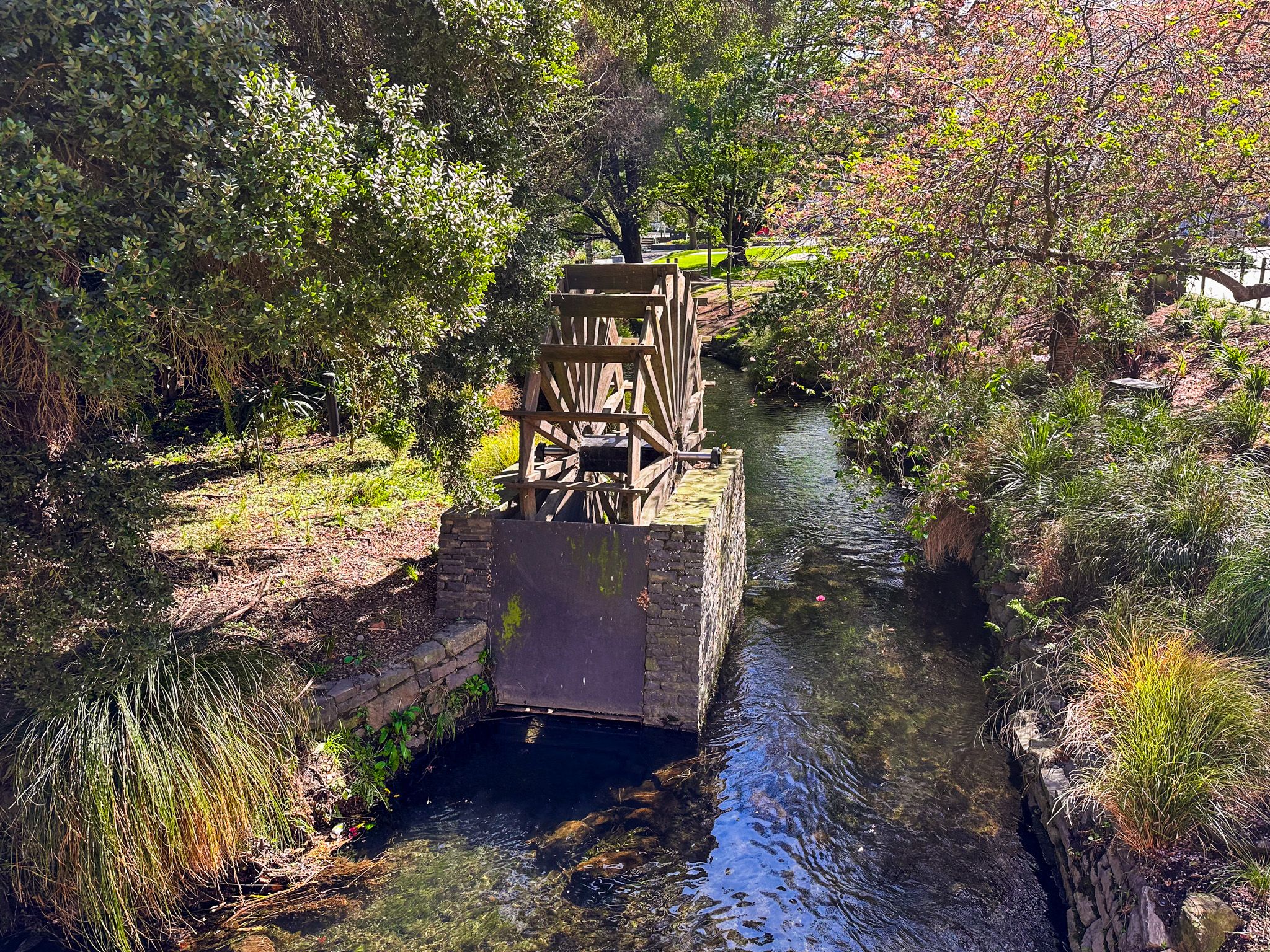 Image 4 of 10