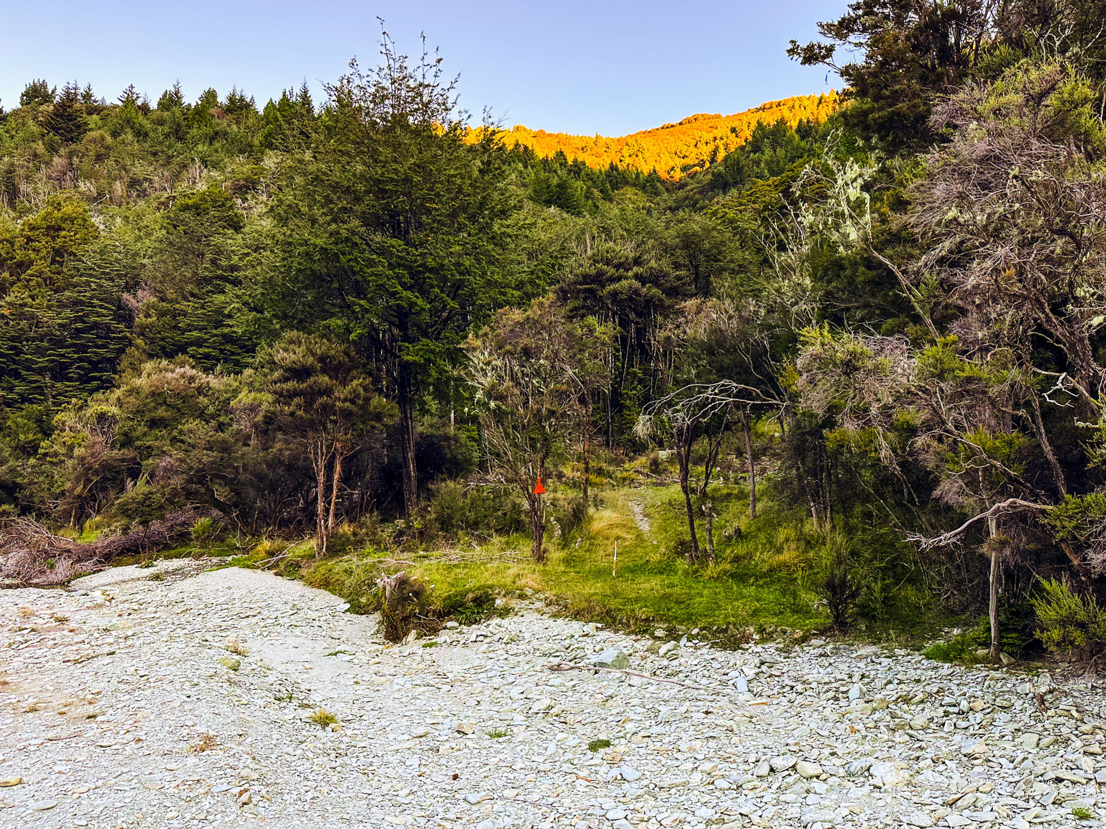 Image 8 of 10