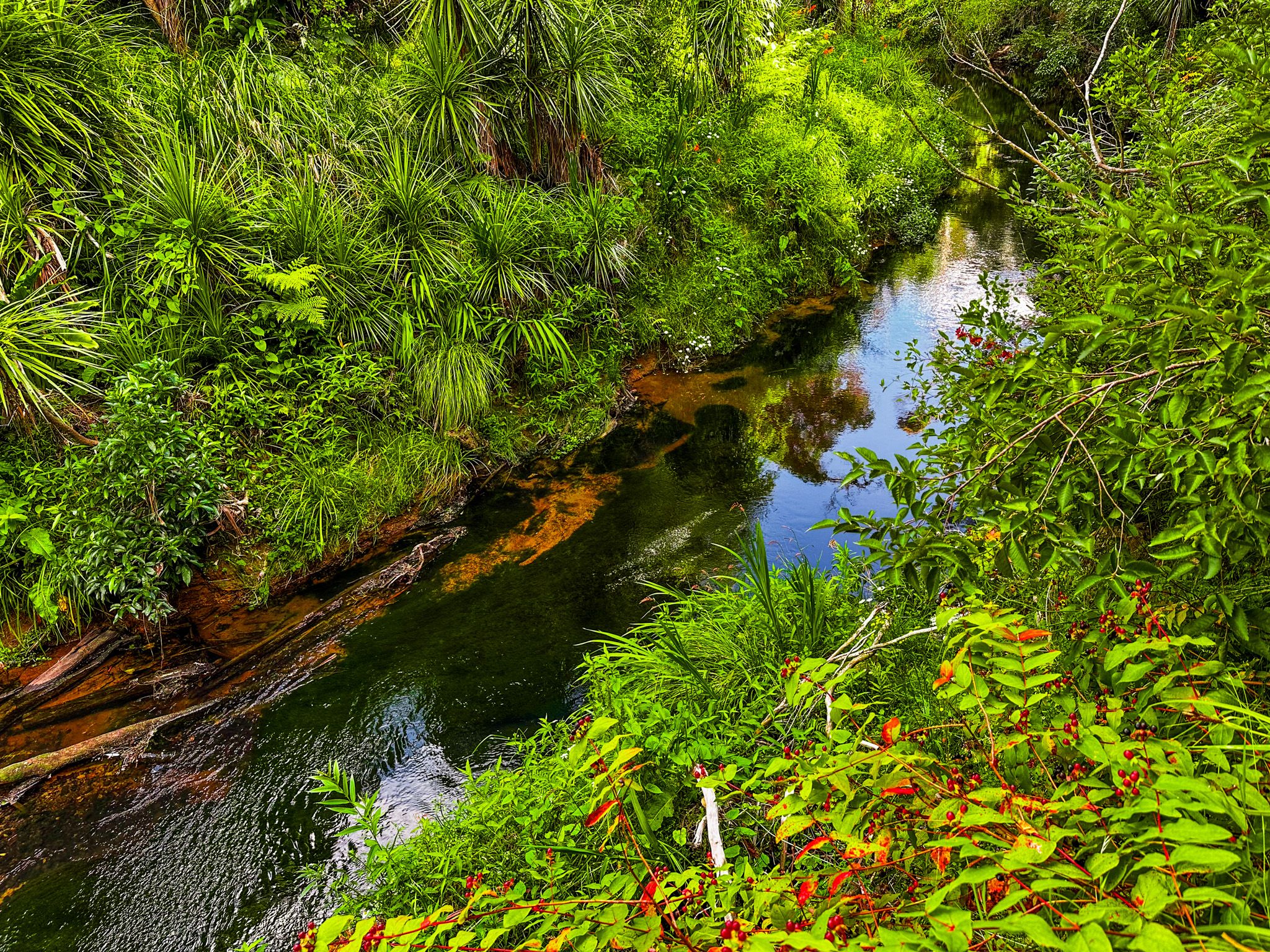 Image 9 of 10