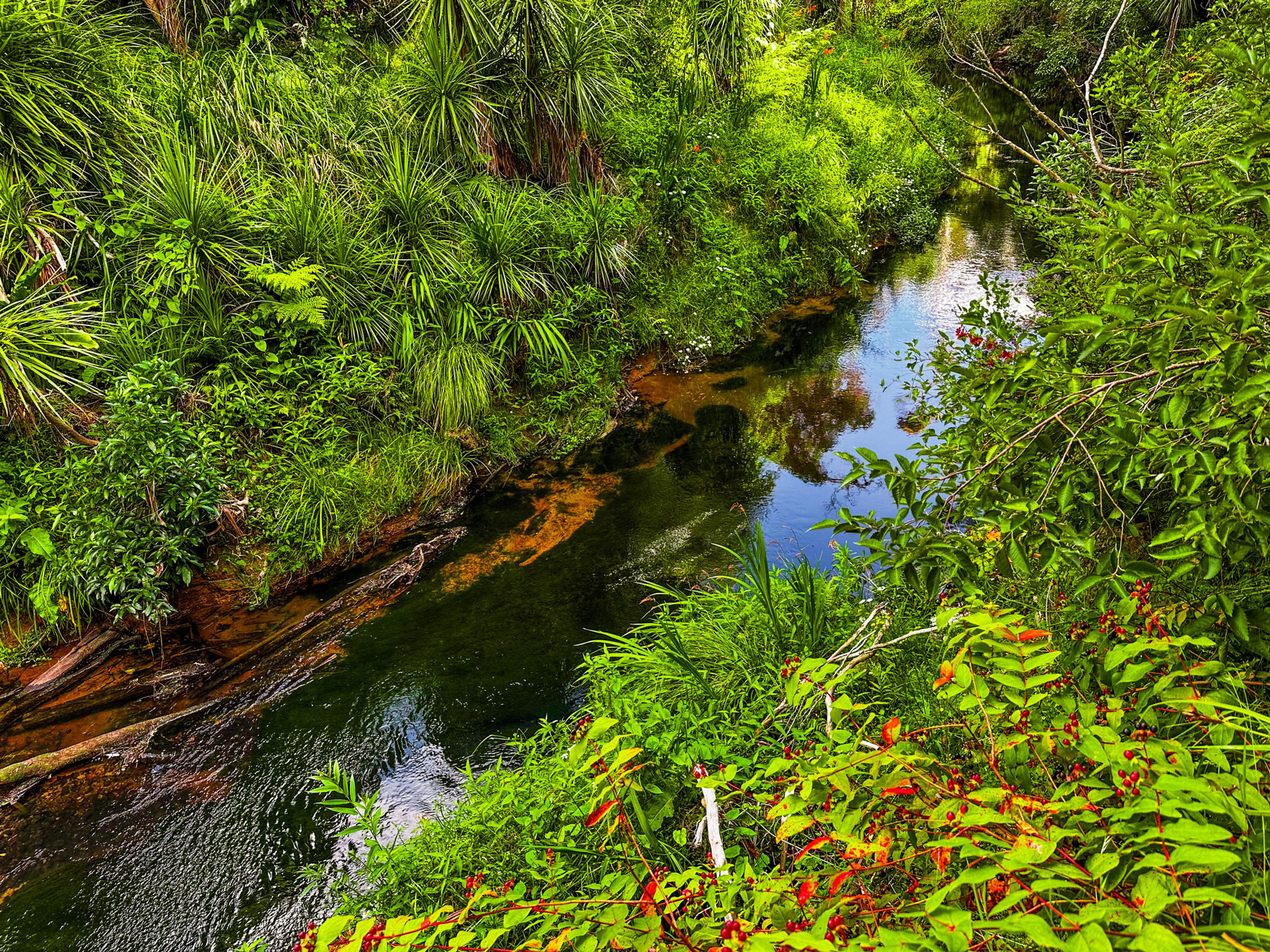 Image 9 of 10