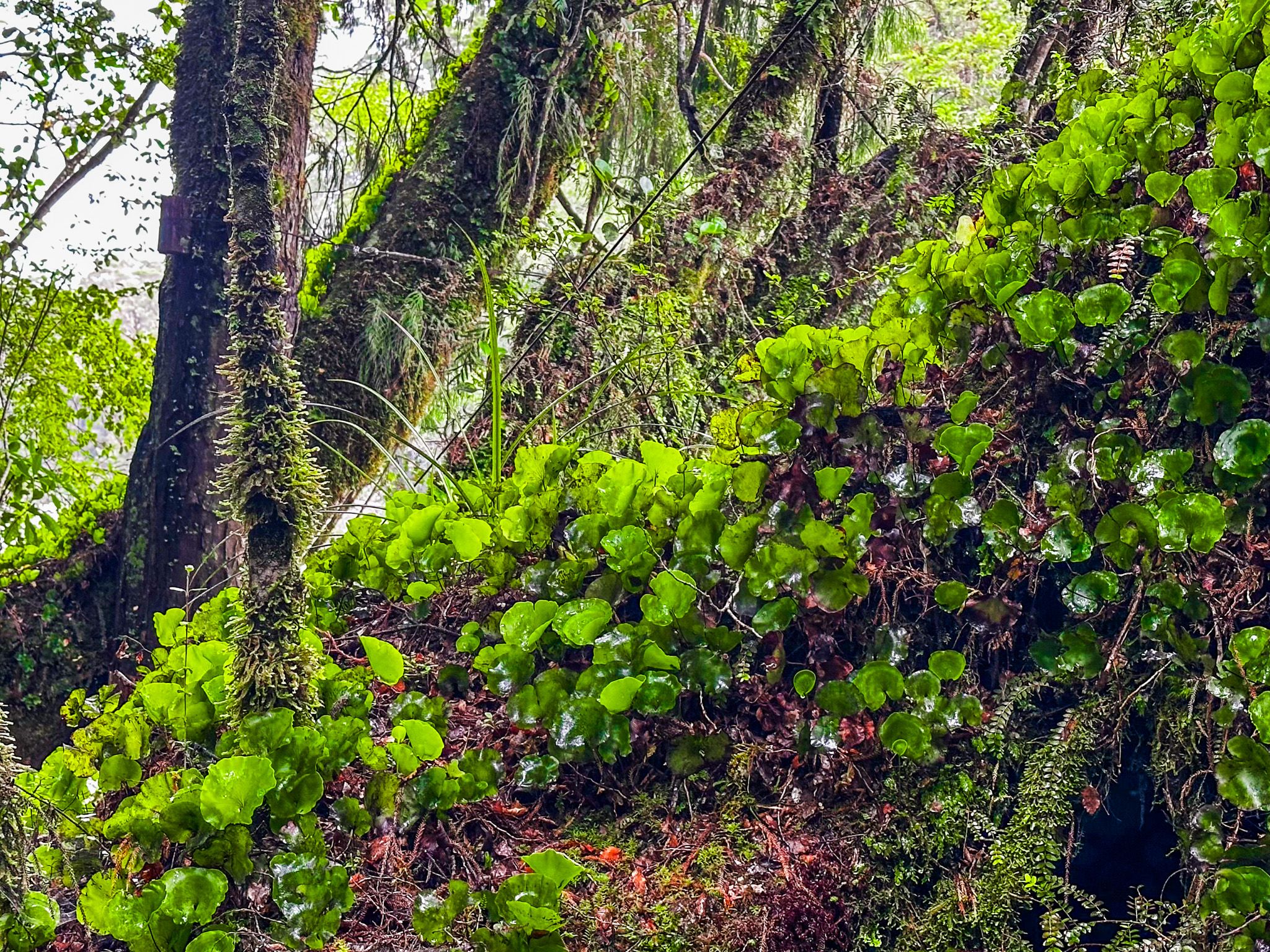Image 4 of 10