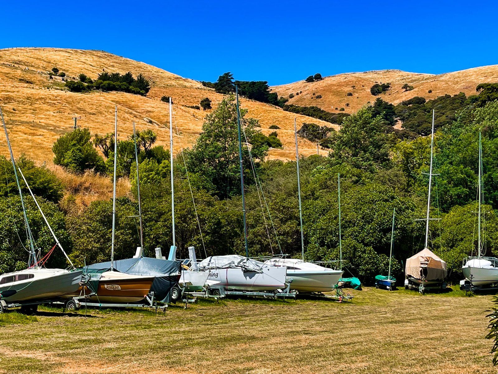 Image 8 of 10