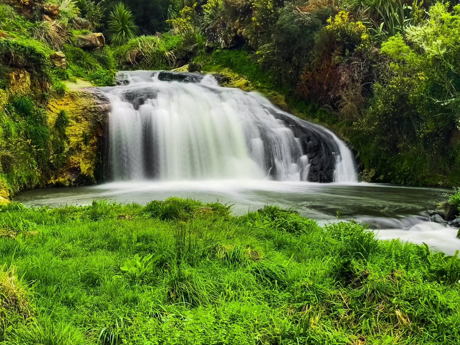Pōkeno Falls