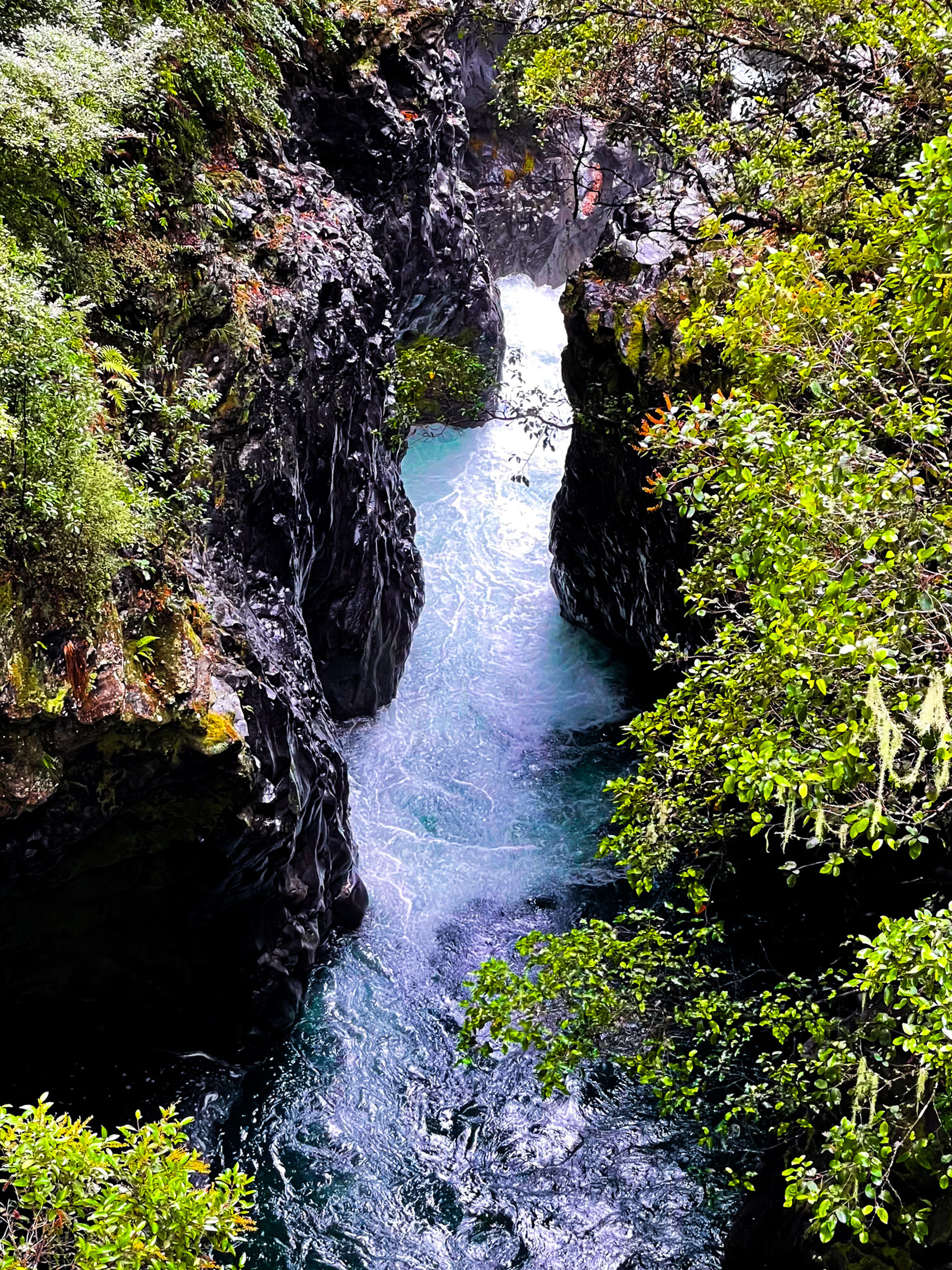 Image 9 of 10