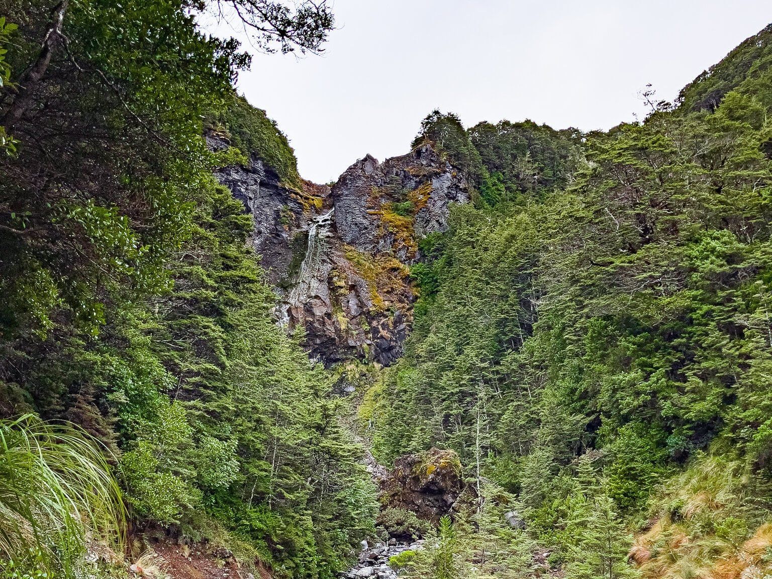 Waitonga Falls Track