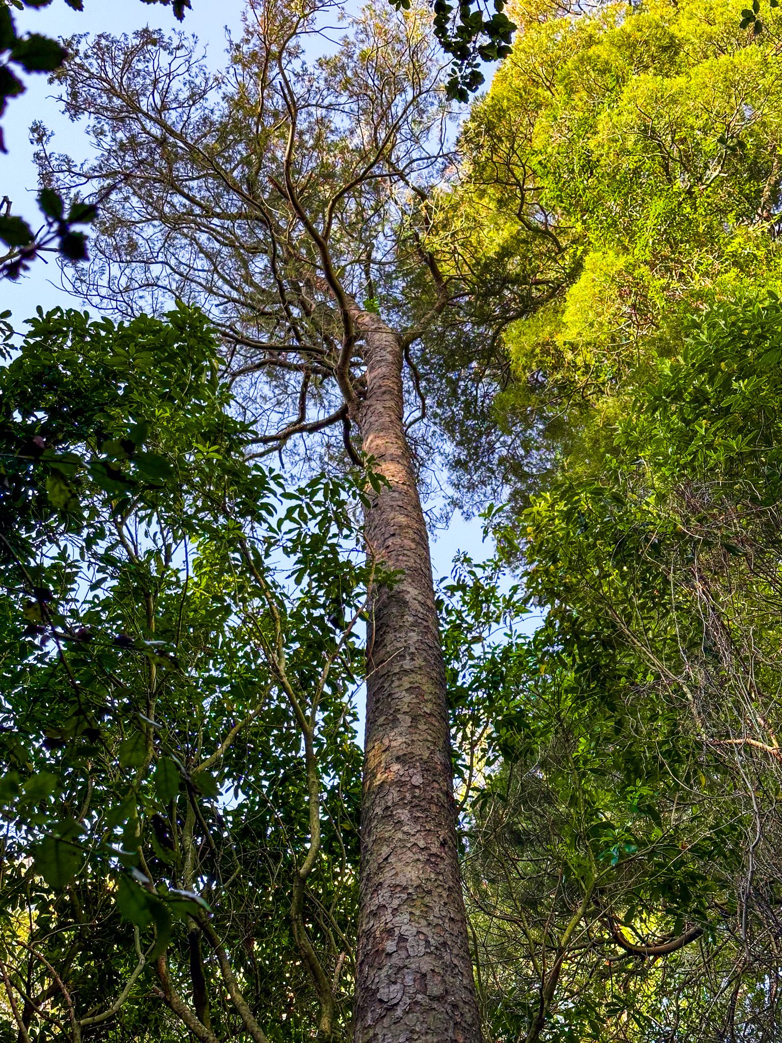 Image 10 of 10