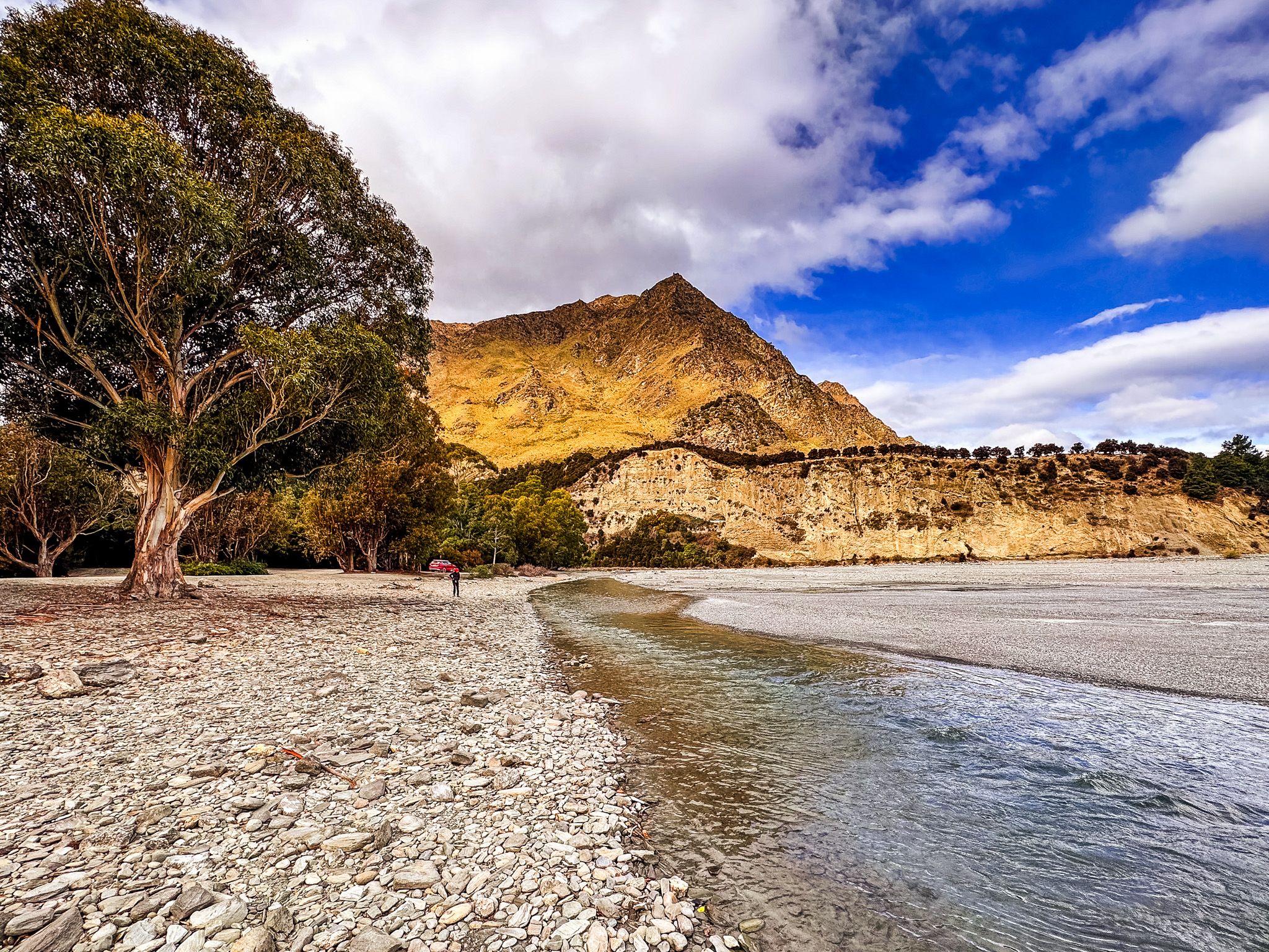 Timaru Creek Reserve