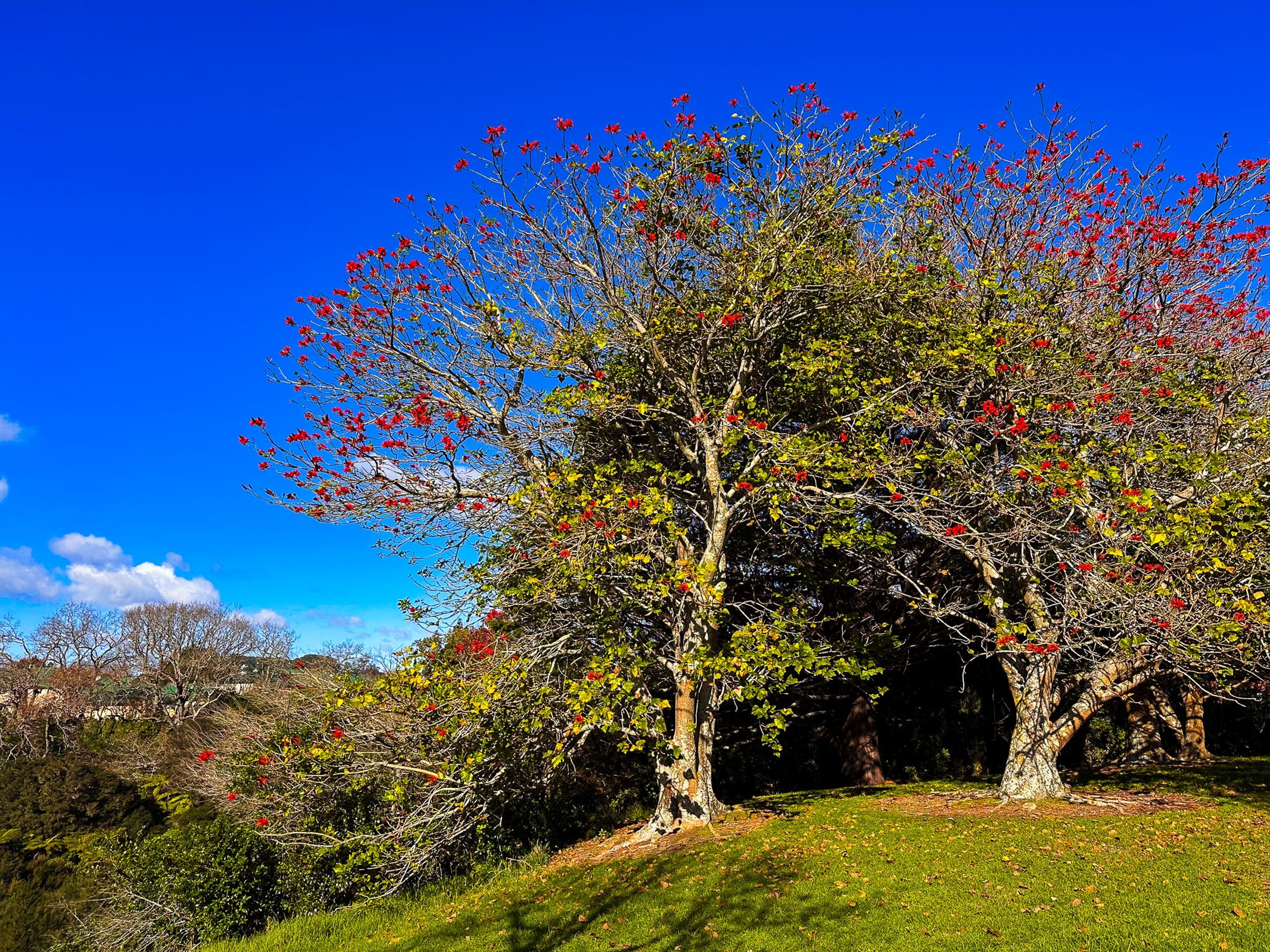 Image 10 of 10