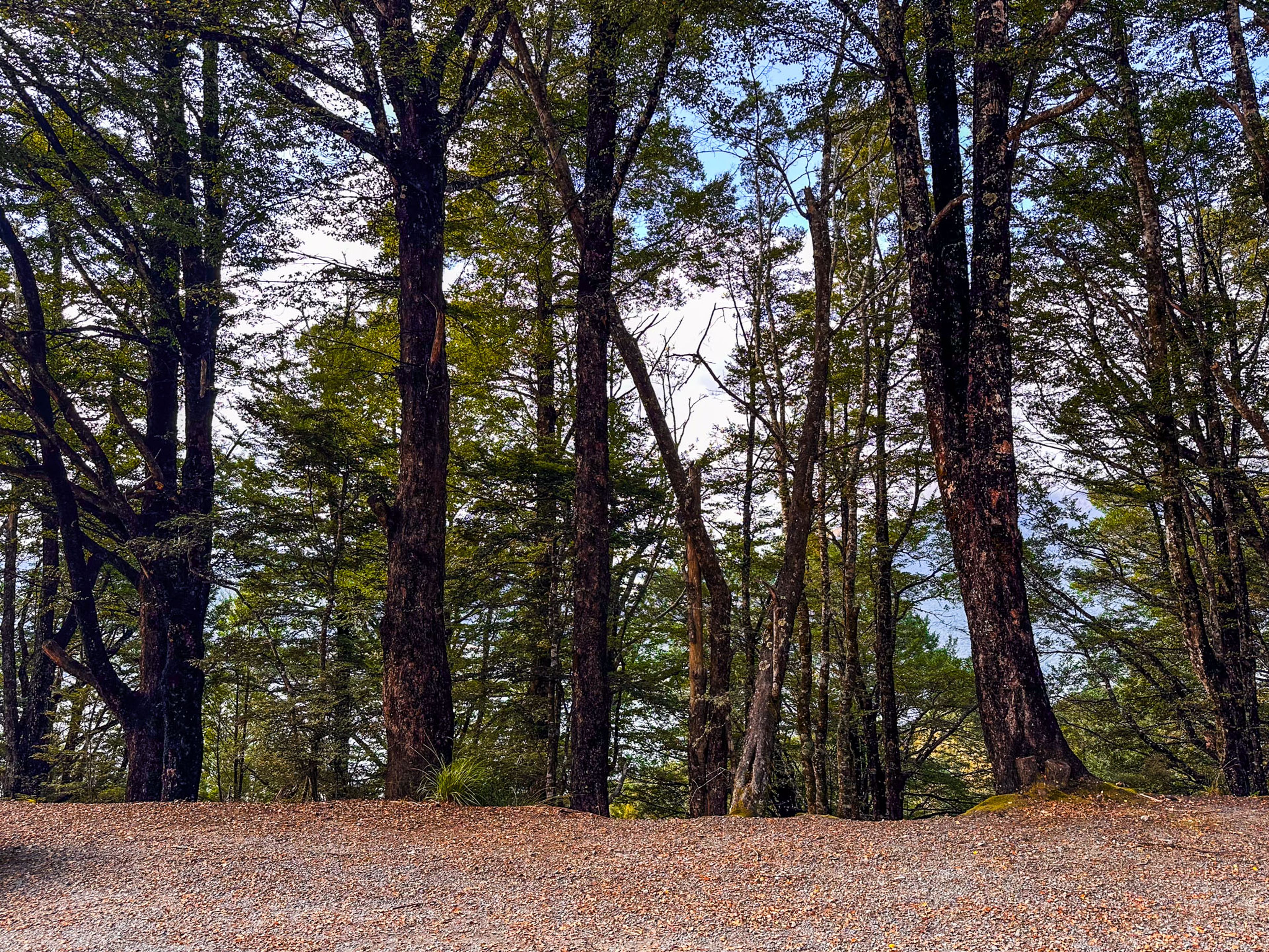 Image 9 of 10