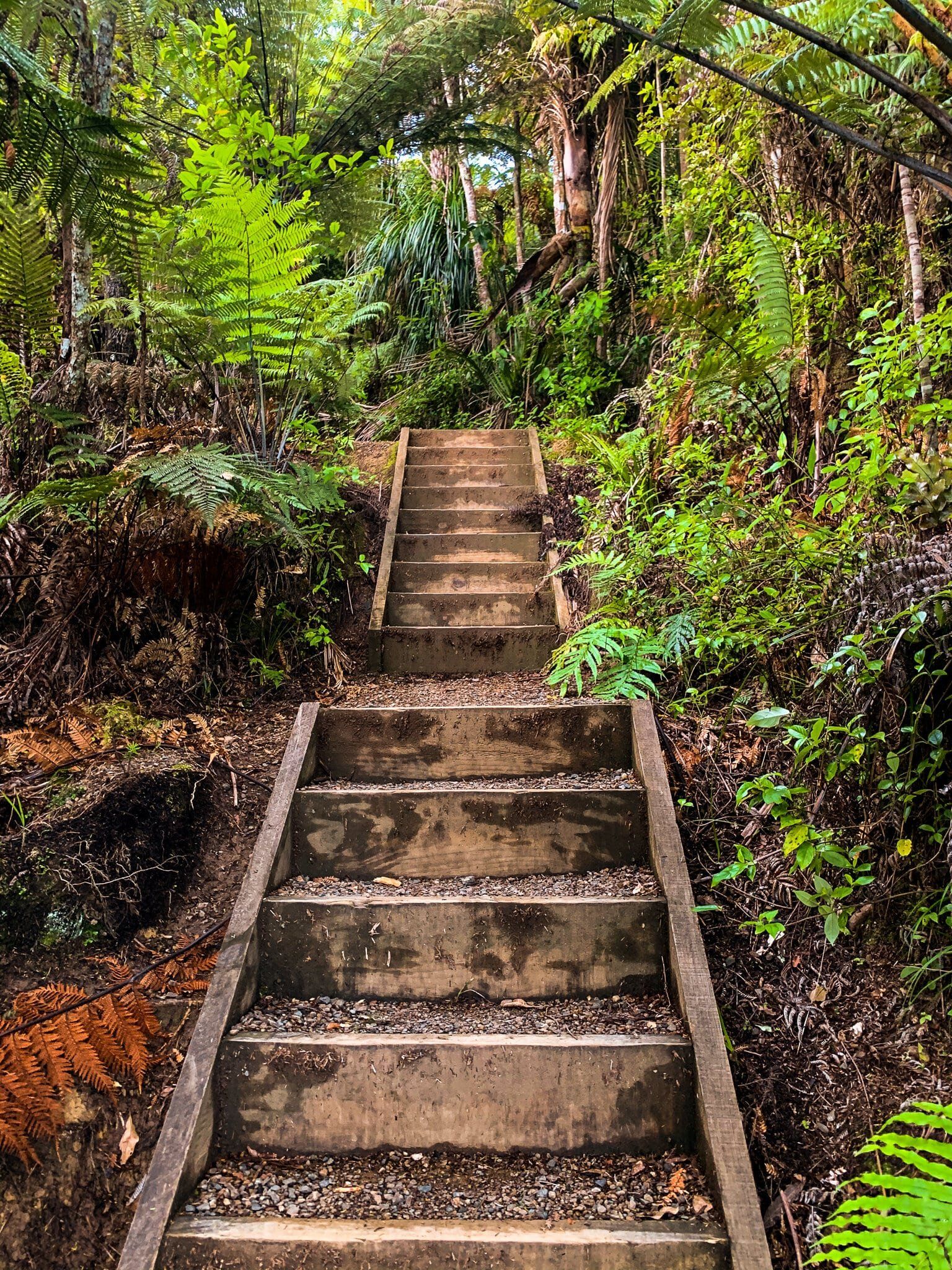 Image 7 of 11
