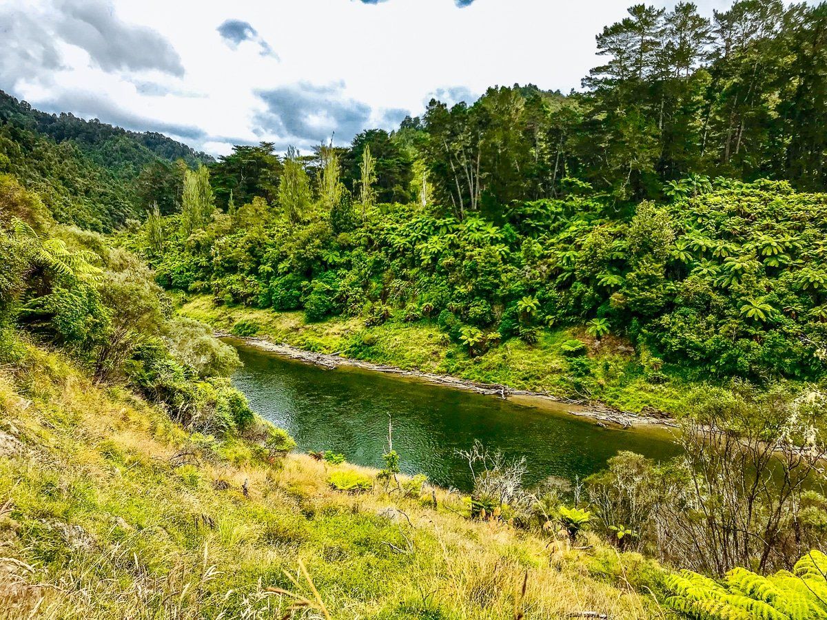 Mountains to Sea – Kaiwhakauka Track to Mangapurua Track