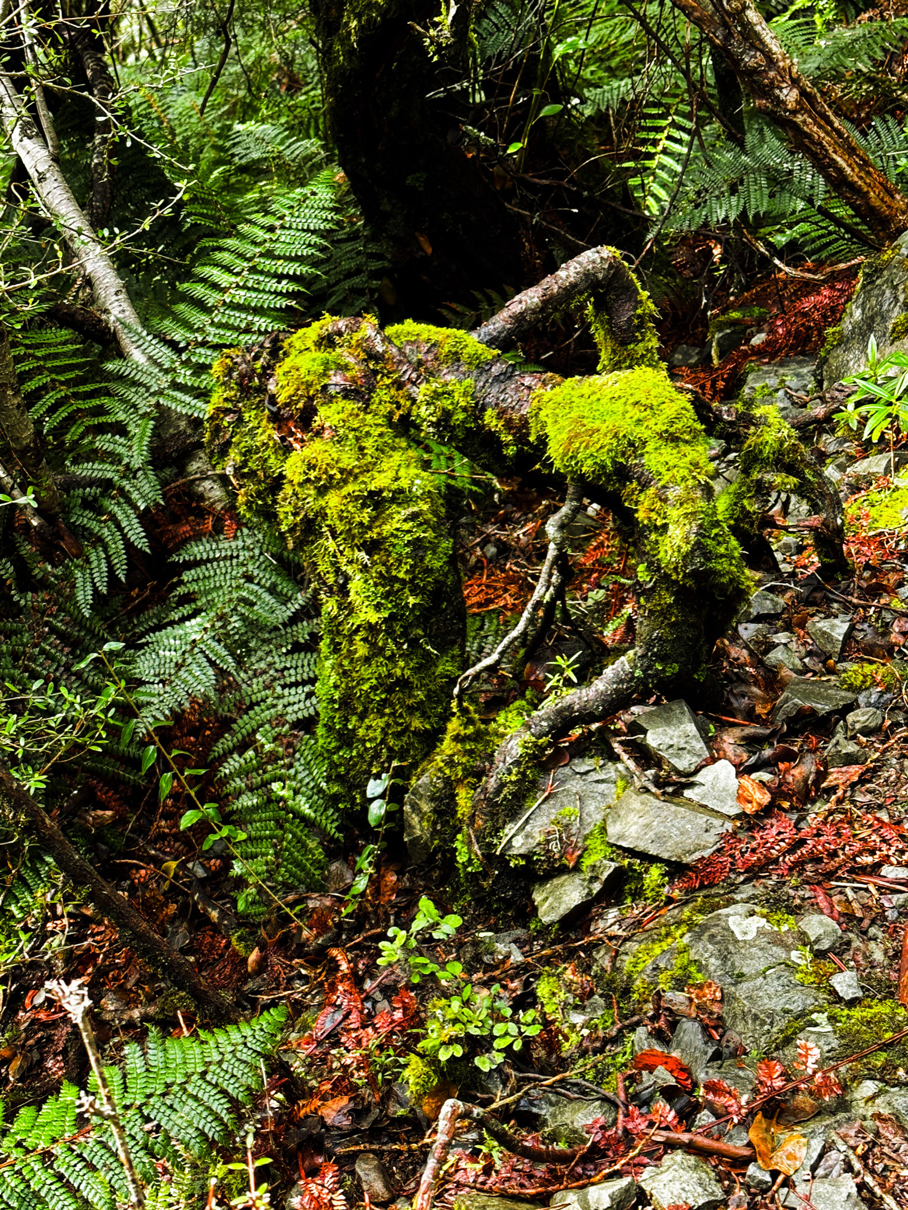 Image 4 of 10