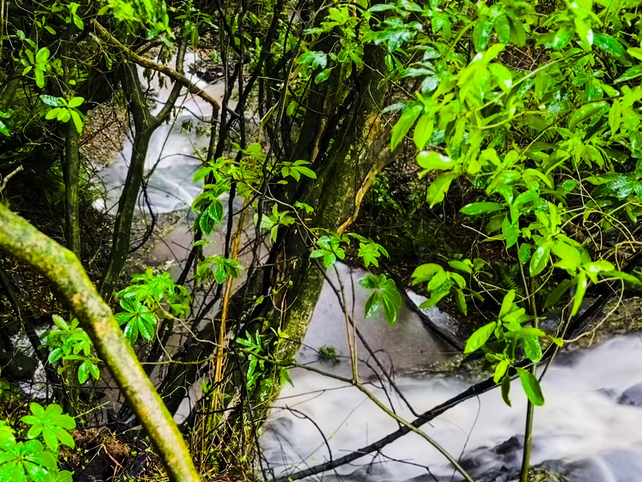 Image 9 of 10